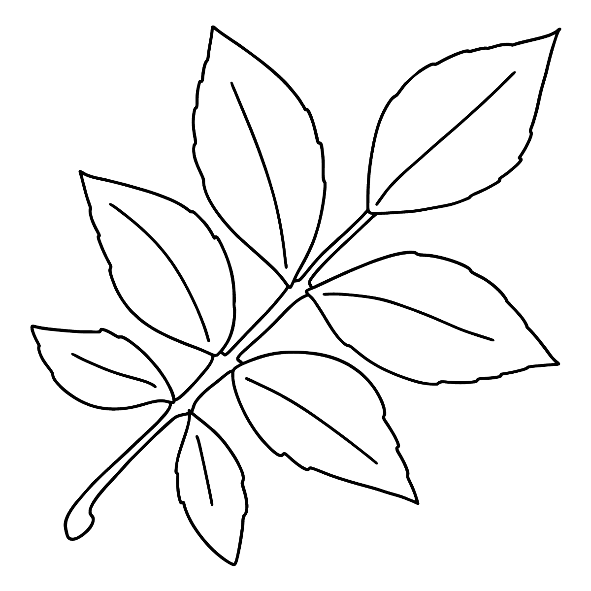 Раскраска цветок с листочками