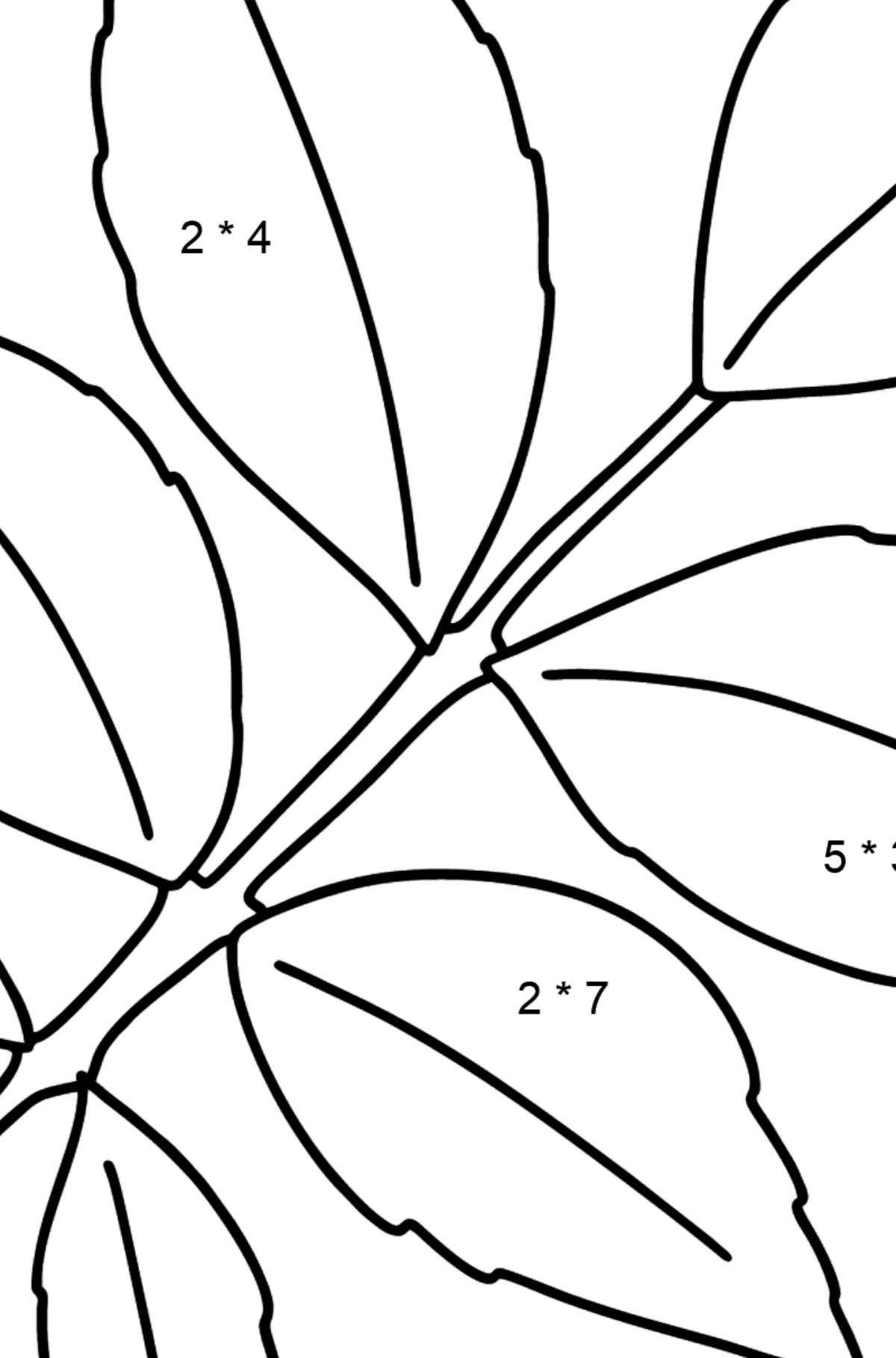 Ausmalbild Eschenblatt - Mathe Ausmalbilder - Multiplikation für Kinder