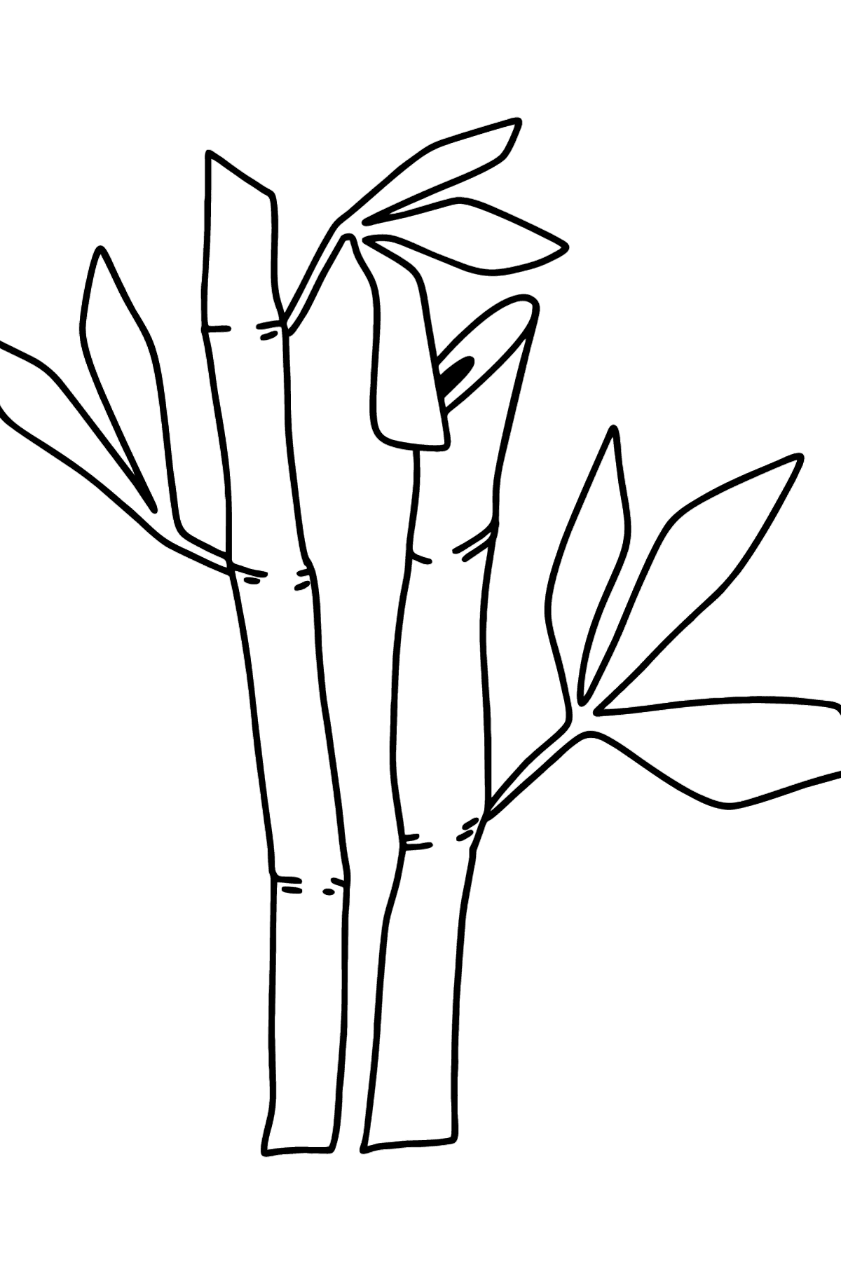 Bamboo coloring page - Coloring Pages for Kids