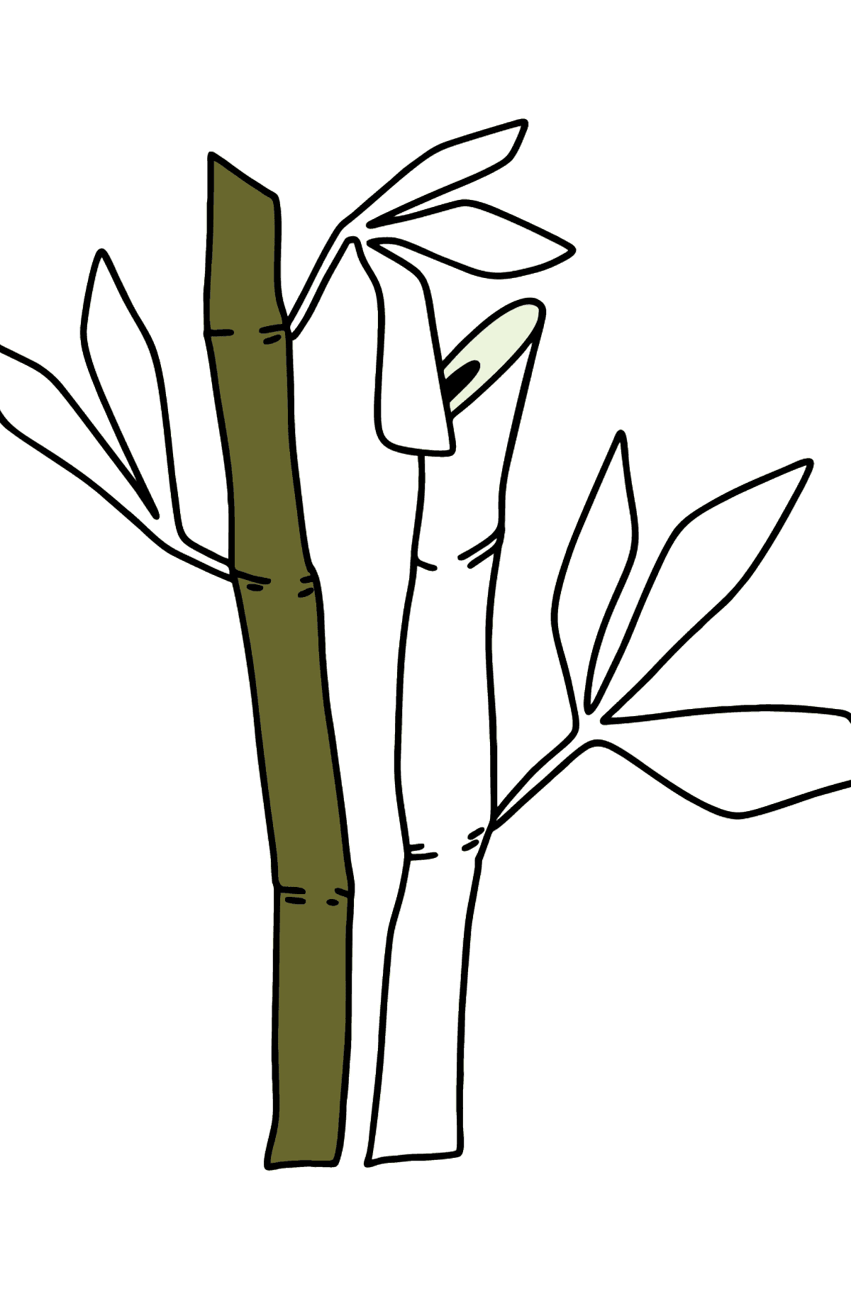 Раскраска бамбук - Картинки для Детей