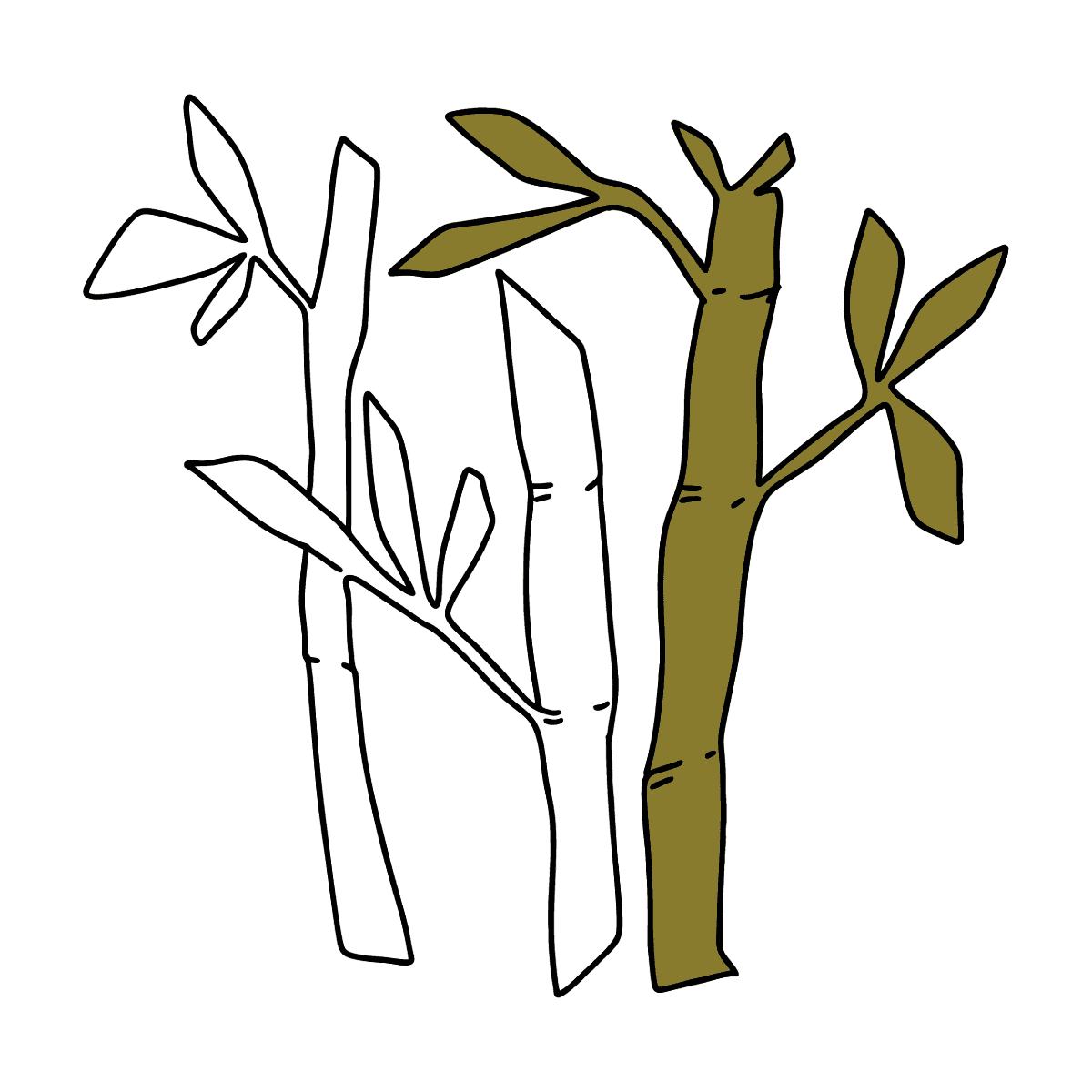 Бамбук раскраска