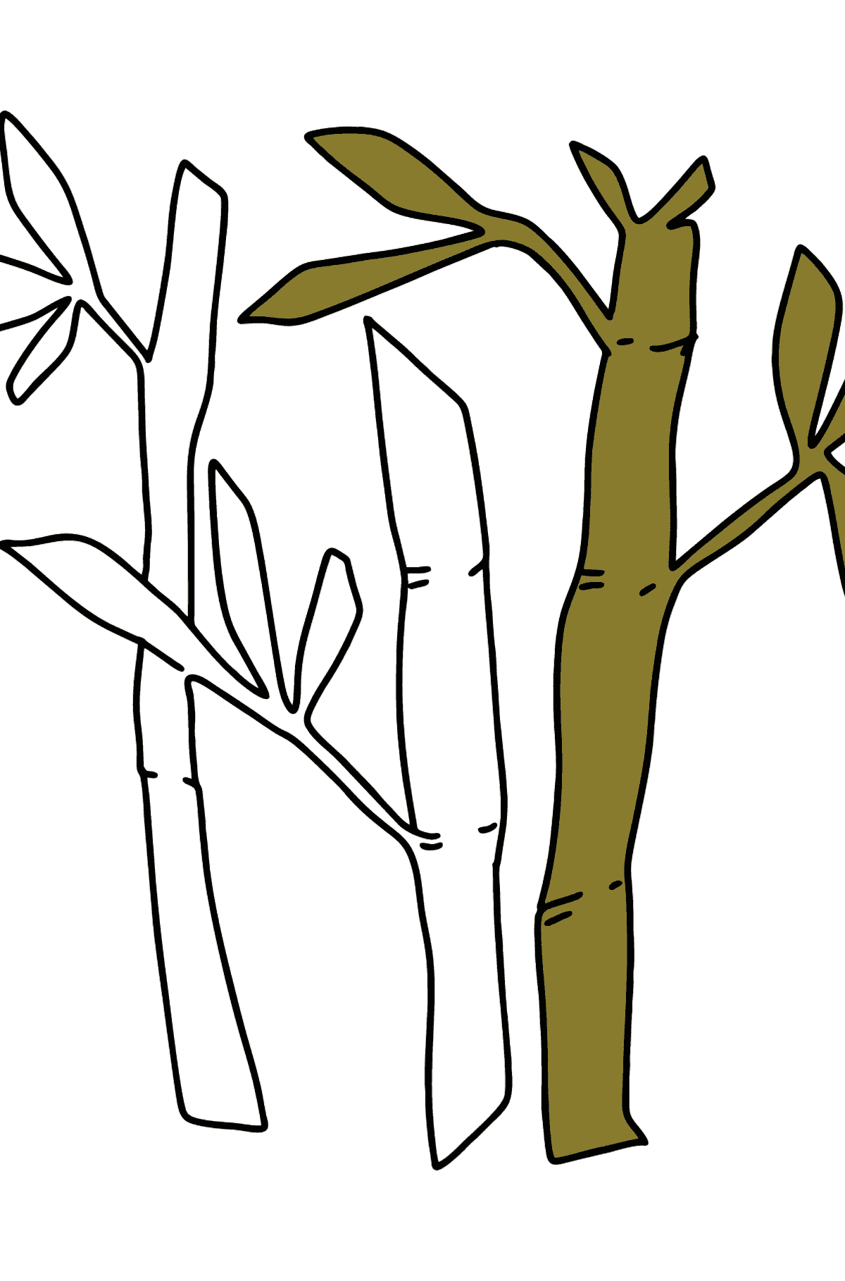 Раскраска бамбук просто - Картинки для Детей