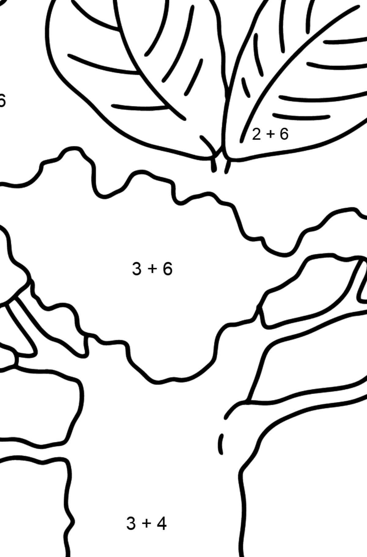 Beech coloring page - Math Coloring - Addition for Kids