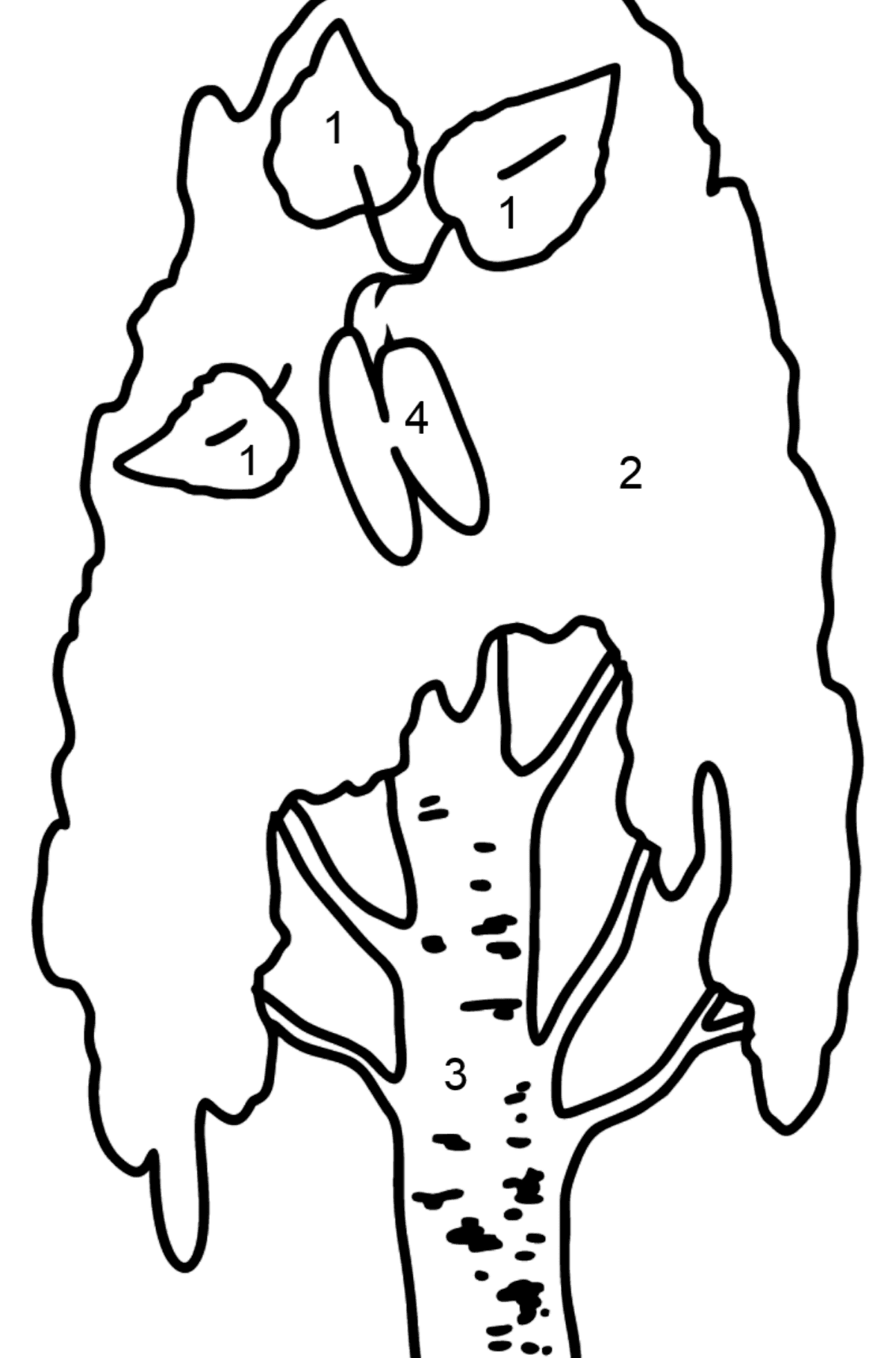 Birch coloring page - Coloring by Numbers for Kids