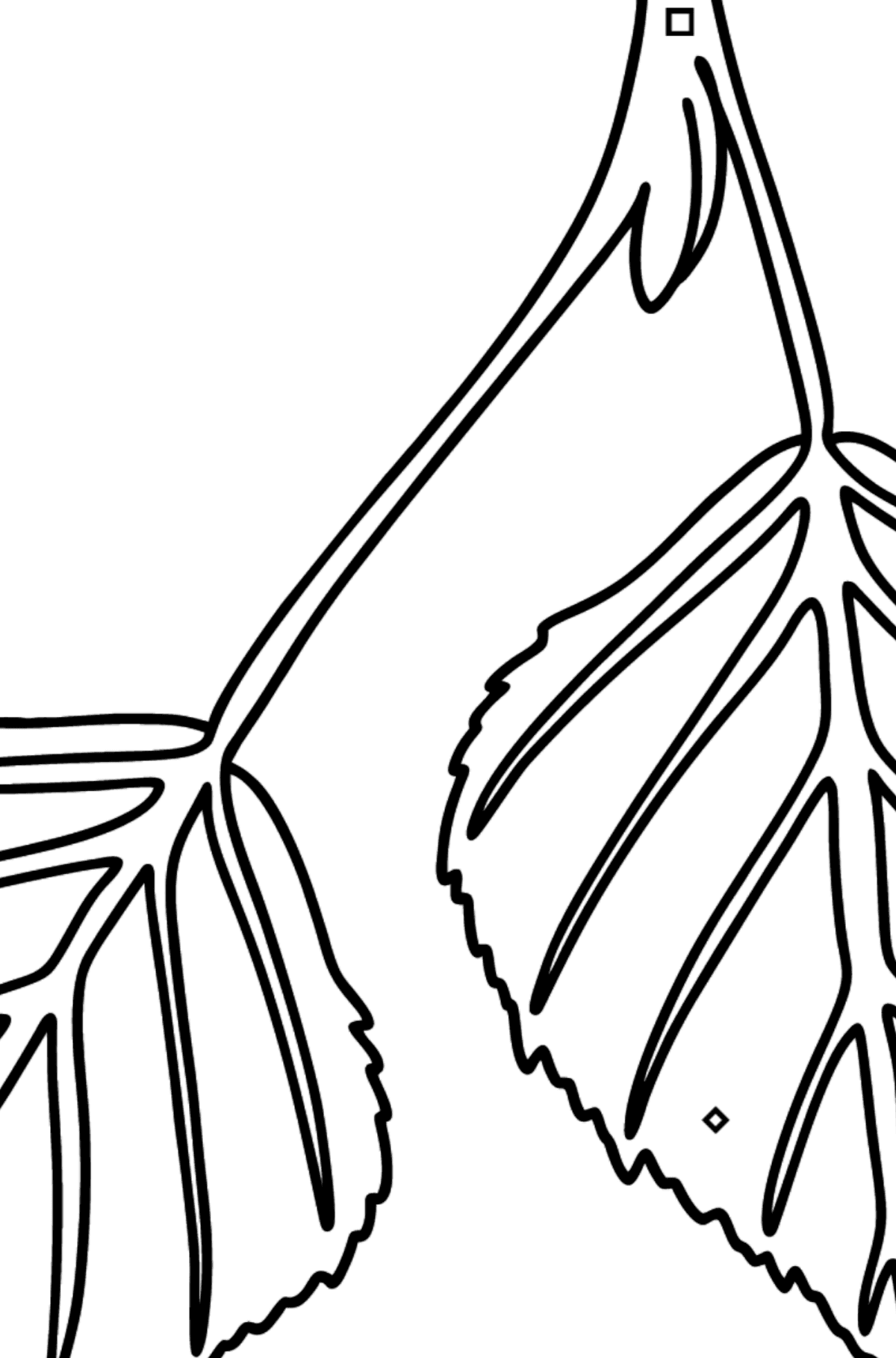 Desen de colorat frunze de mesteacăn - Desen de colorat după Simbol și Forme Geometrice pentru copii