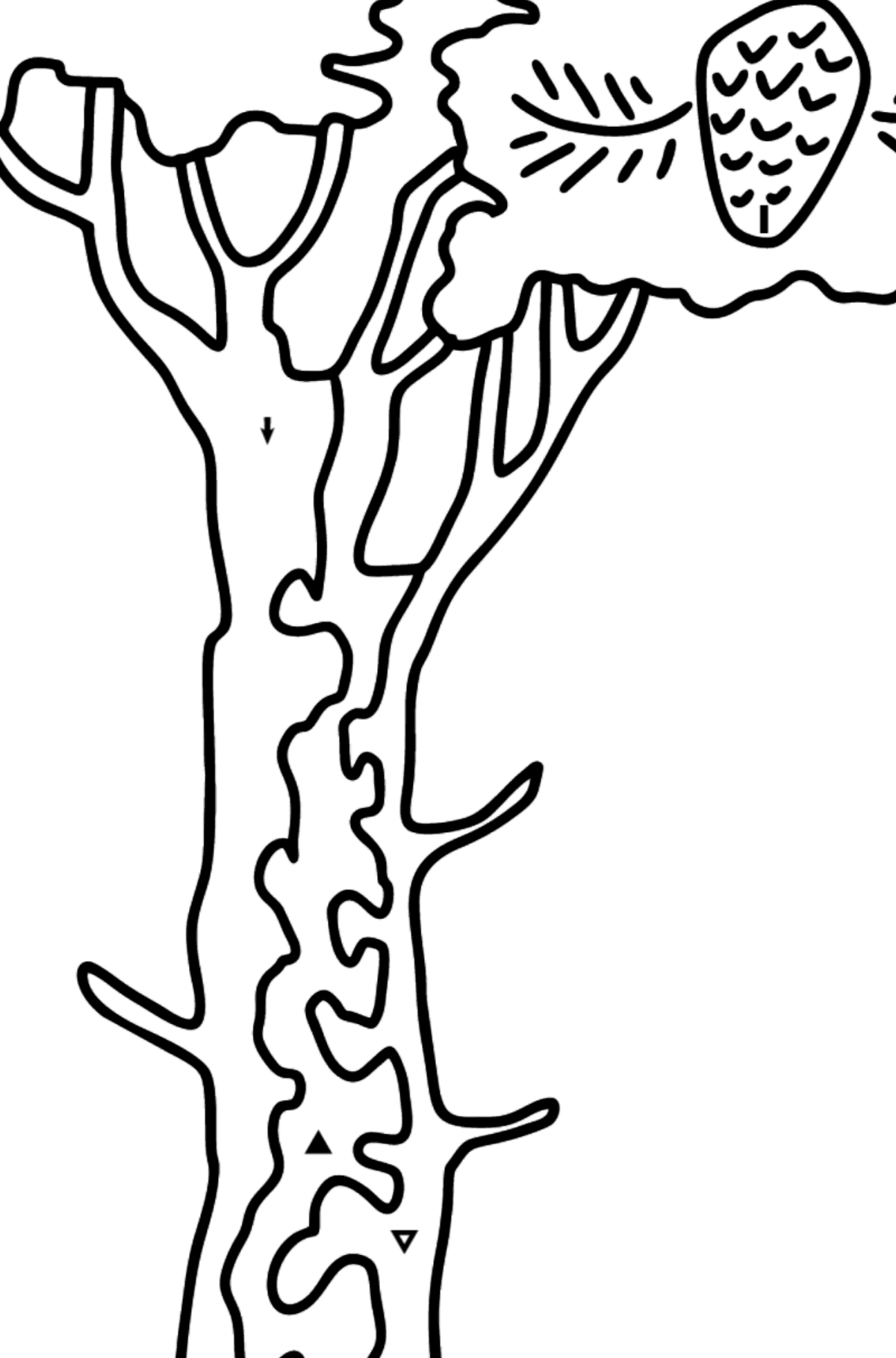 Раскраска кедровое дерево - По Символам для Детей