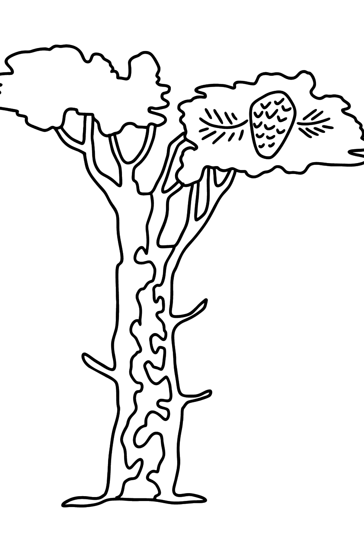 Dibujo de árbol de cedro para colorear - Dibujos para Colorear para Niños