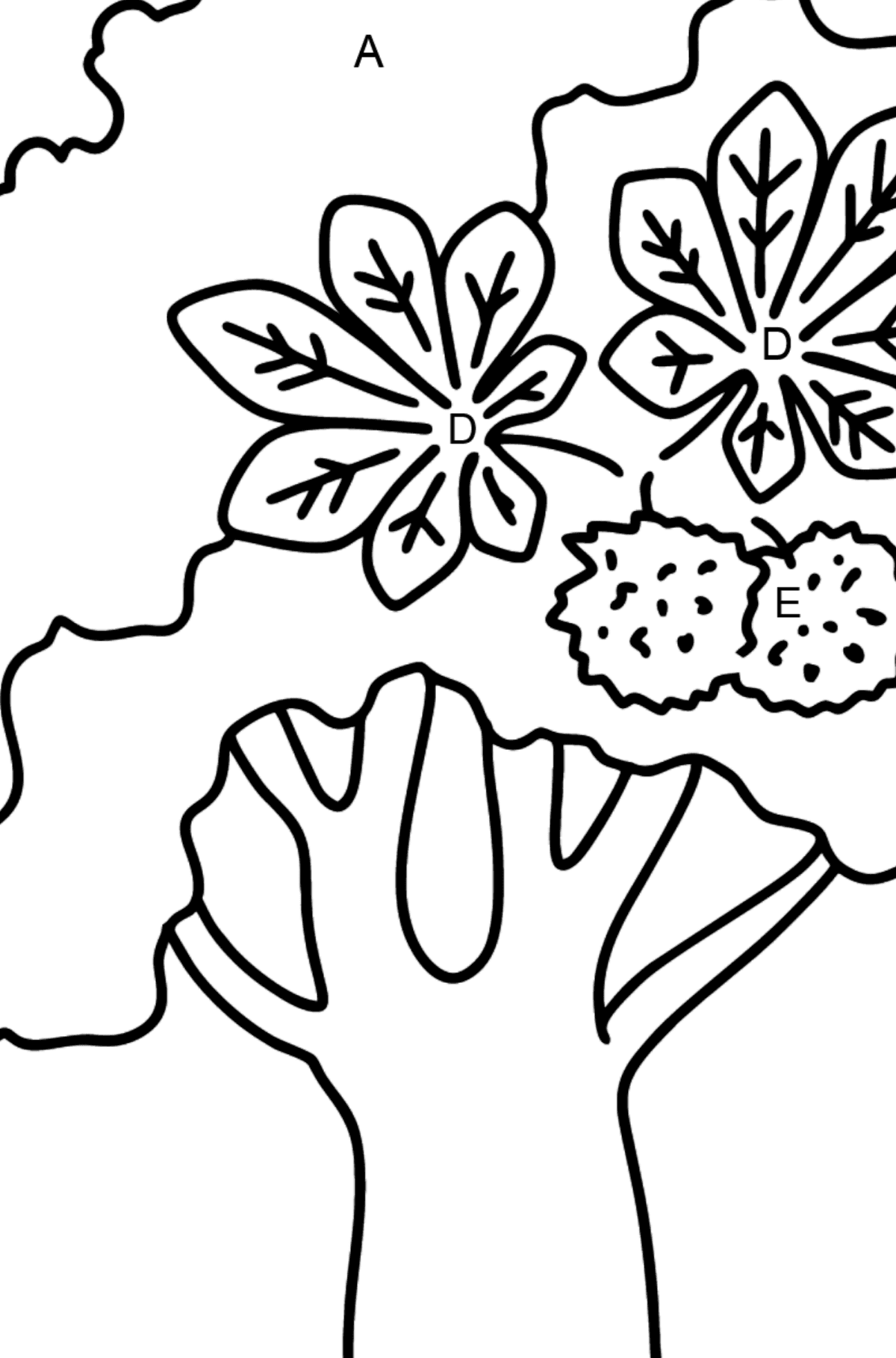 Chestnut coloring page - Coloring by Letters for Kids