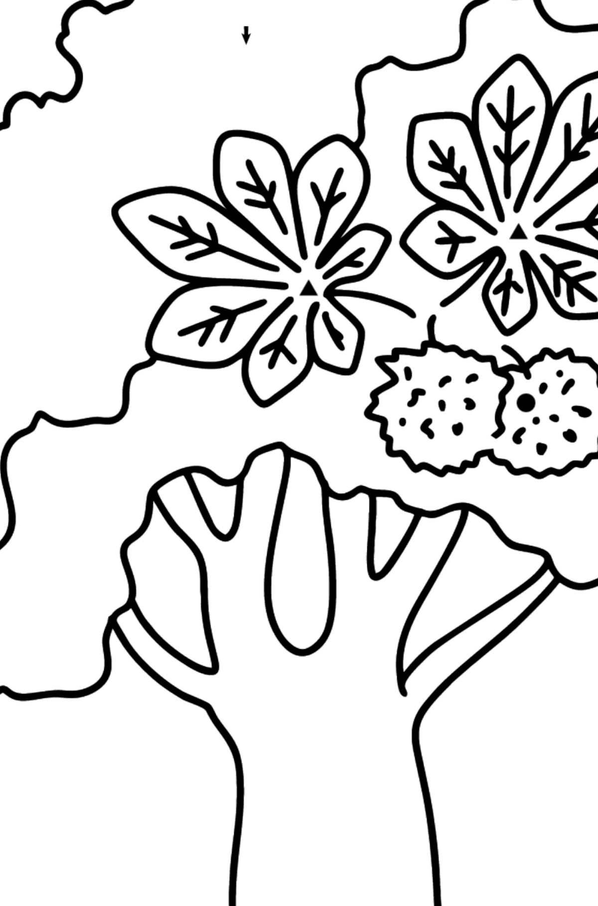 Chestnut coloring page - Coloring by Symbols for Kids
