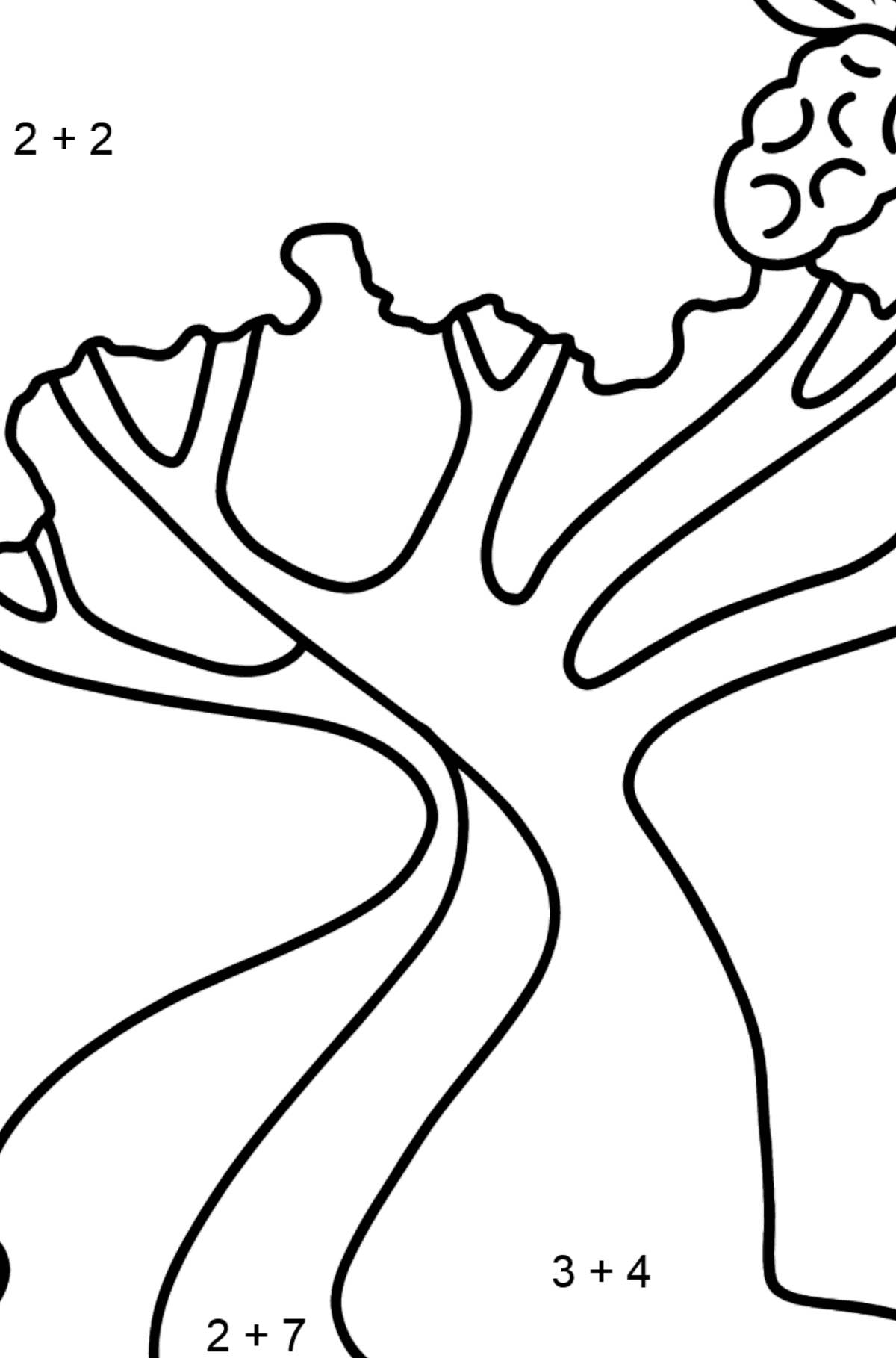 Раскраска хлопковое дерево - На Сложение для Детей