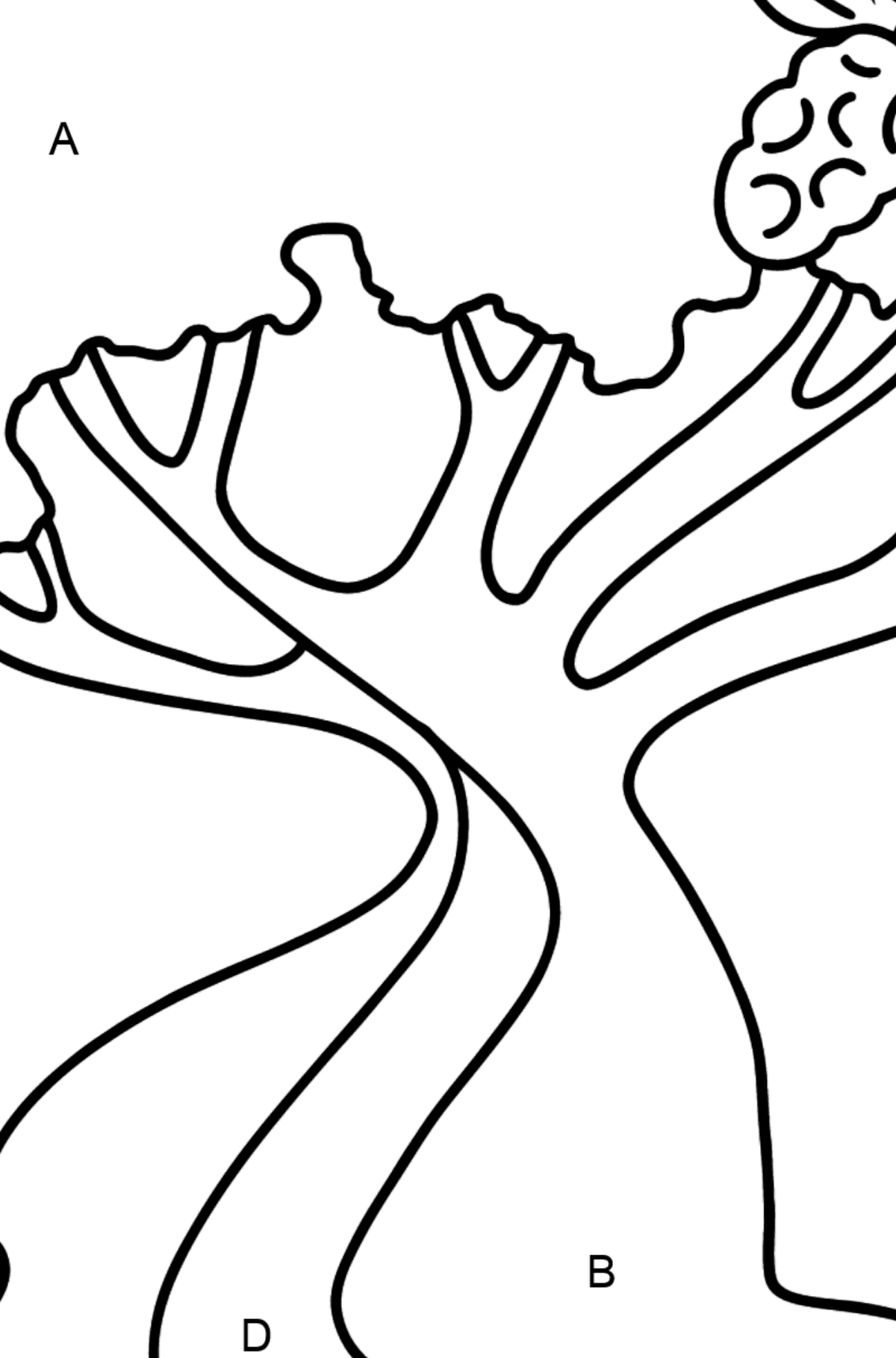 Ausmalbild Baumwollbaum - Ausmalen nach Buchstaben für Kinder