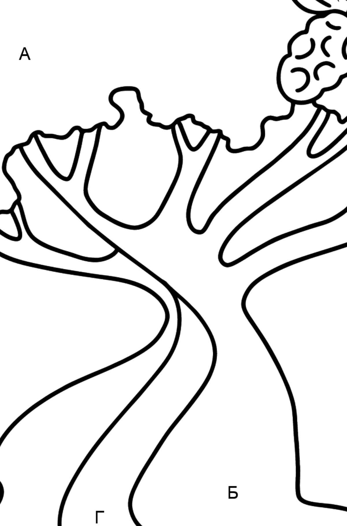 Раскраска хлопковое дерево - По Буквам для Детей