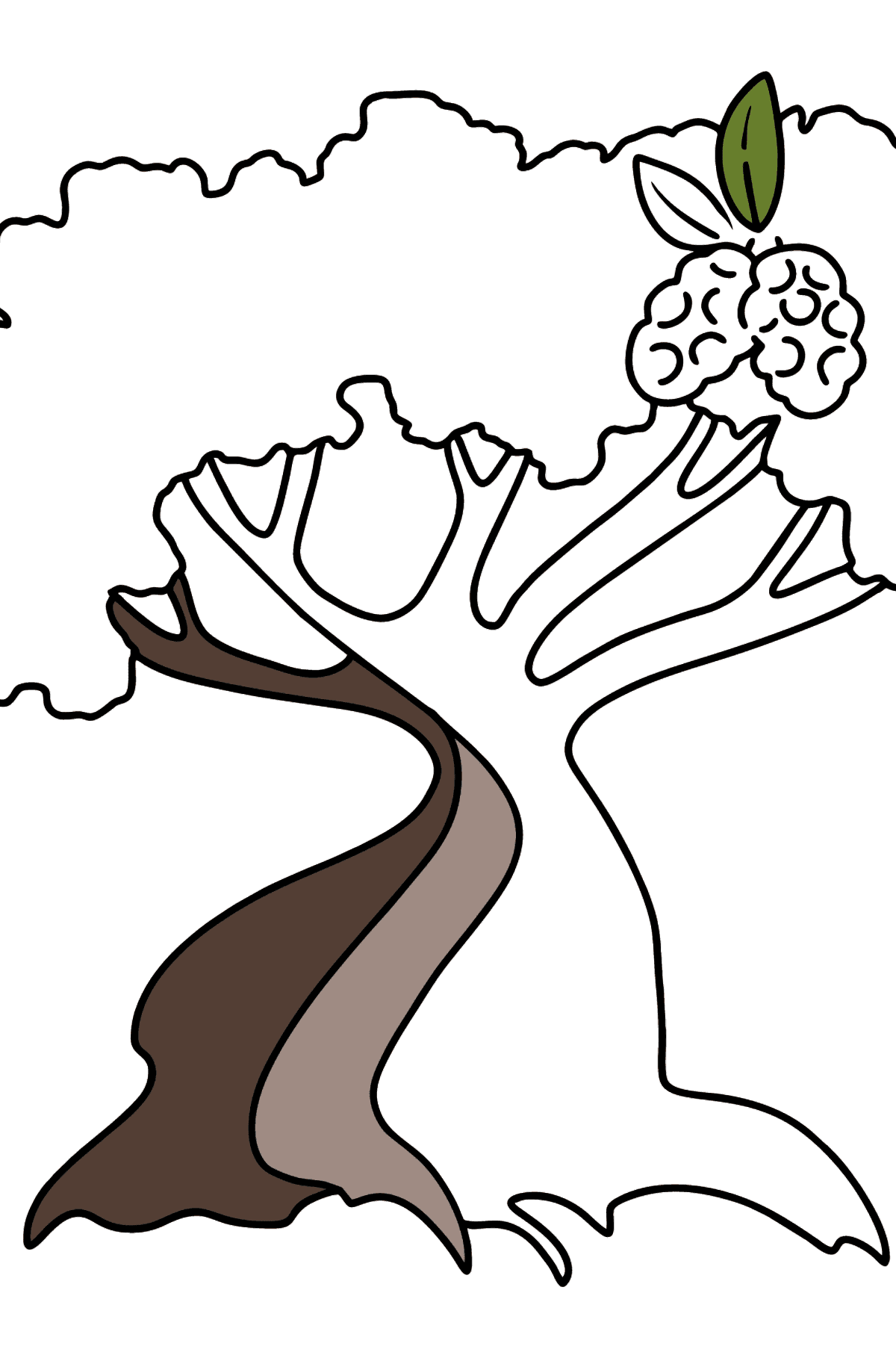 Desenho para colorir do Cotton Tree - Imagens para Colorir para Crianças