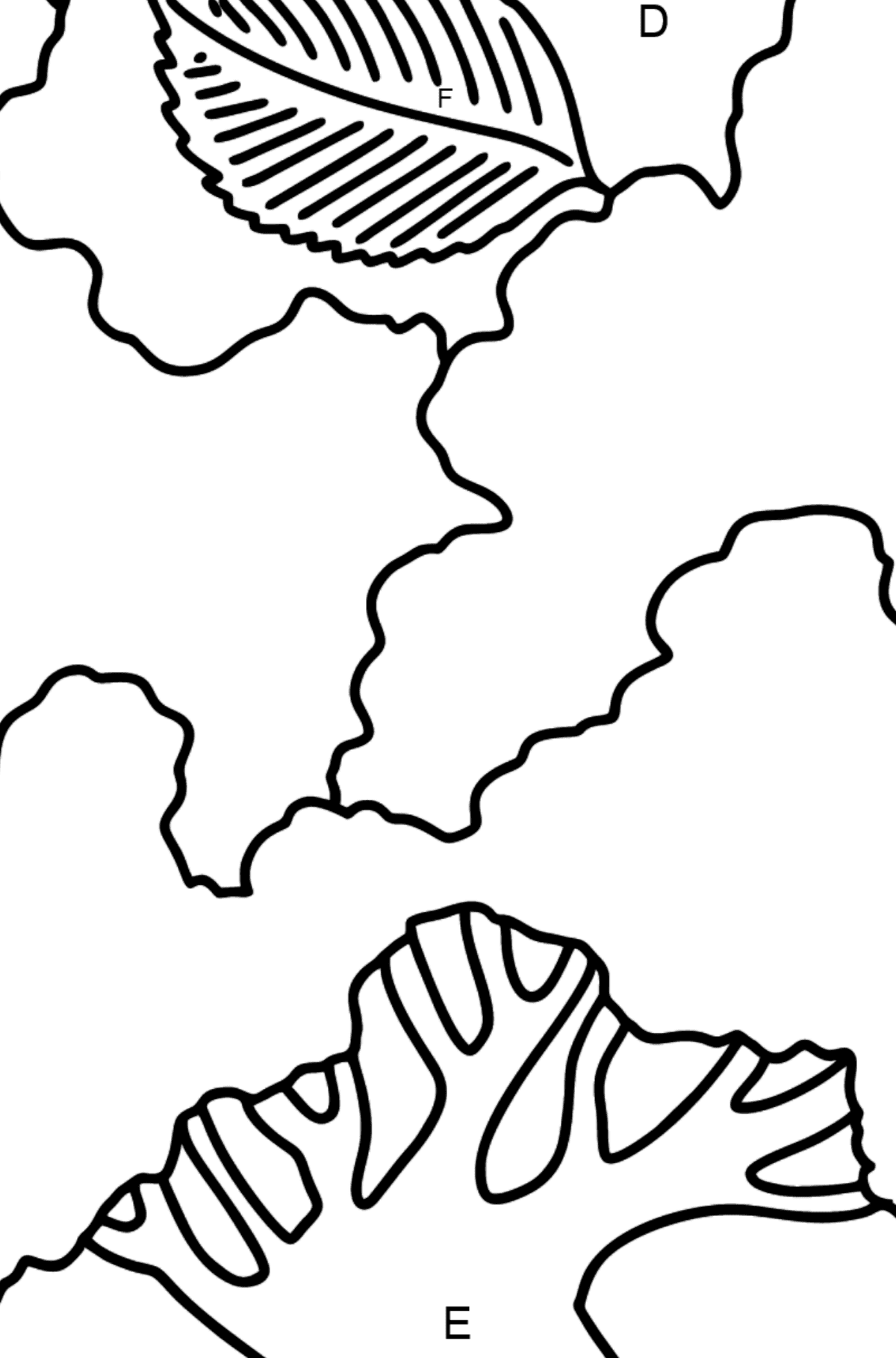 Elm coloring page - Coloring by Letters for Kids