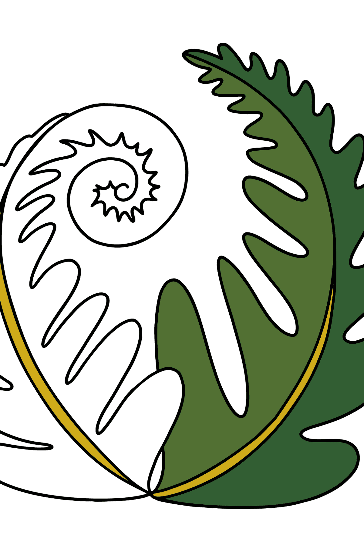 Fern coloring page - Coloring Pages for Kids