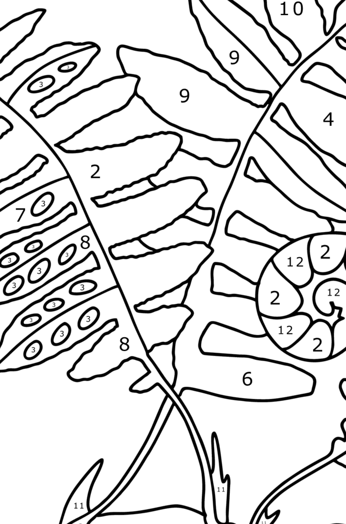 Раскраска Листья папоротника - По Номерам для Детей