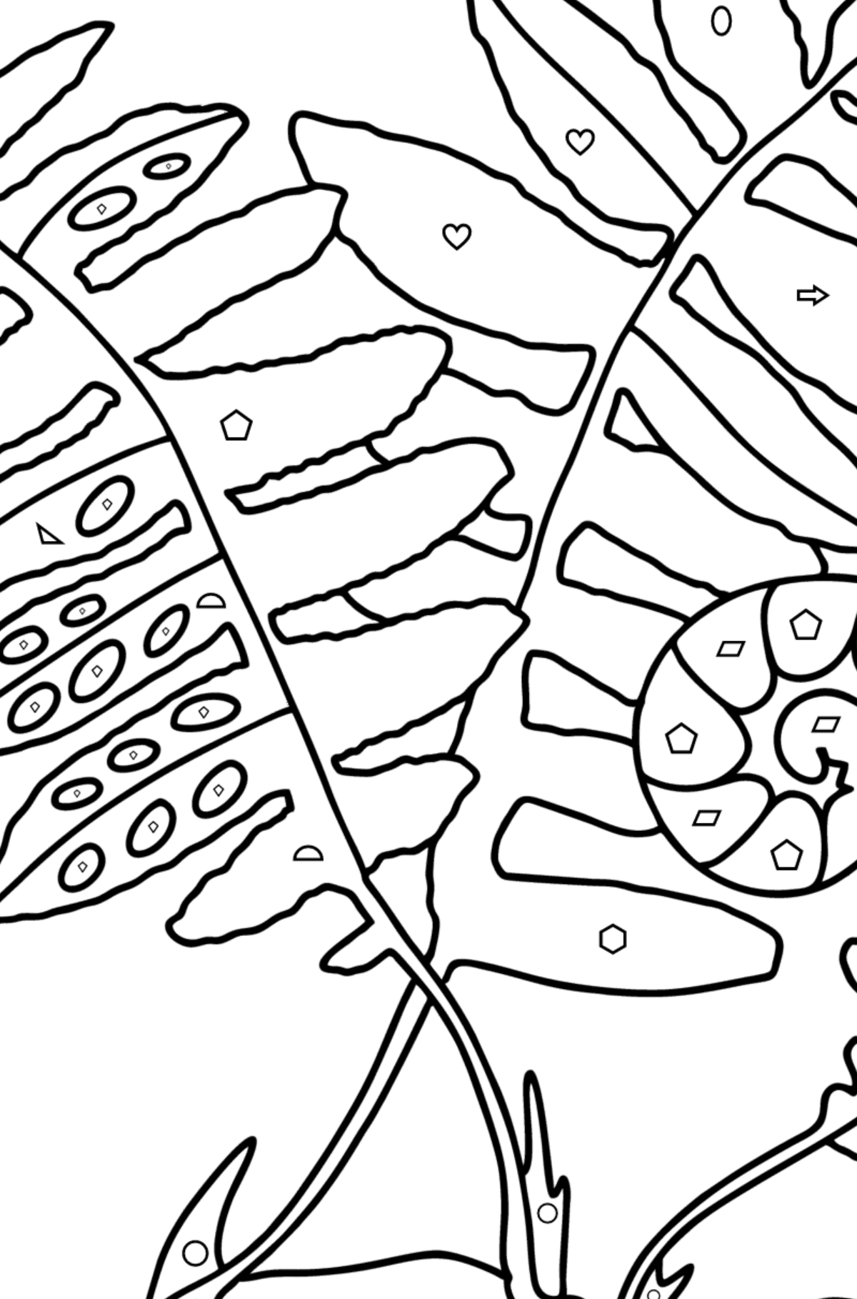 Раскраска Листья папоротника - Картинка высокого качества для Детей