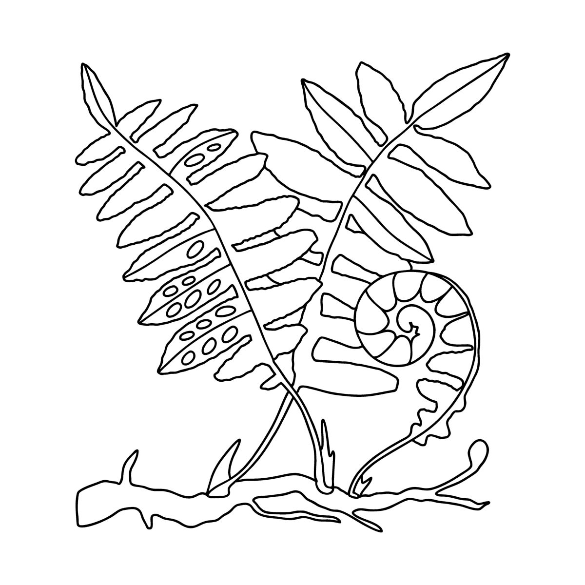 Раскраска листик папоротник