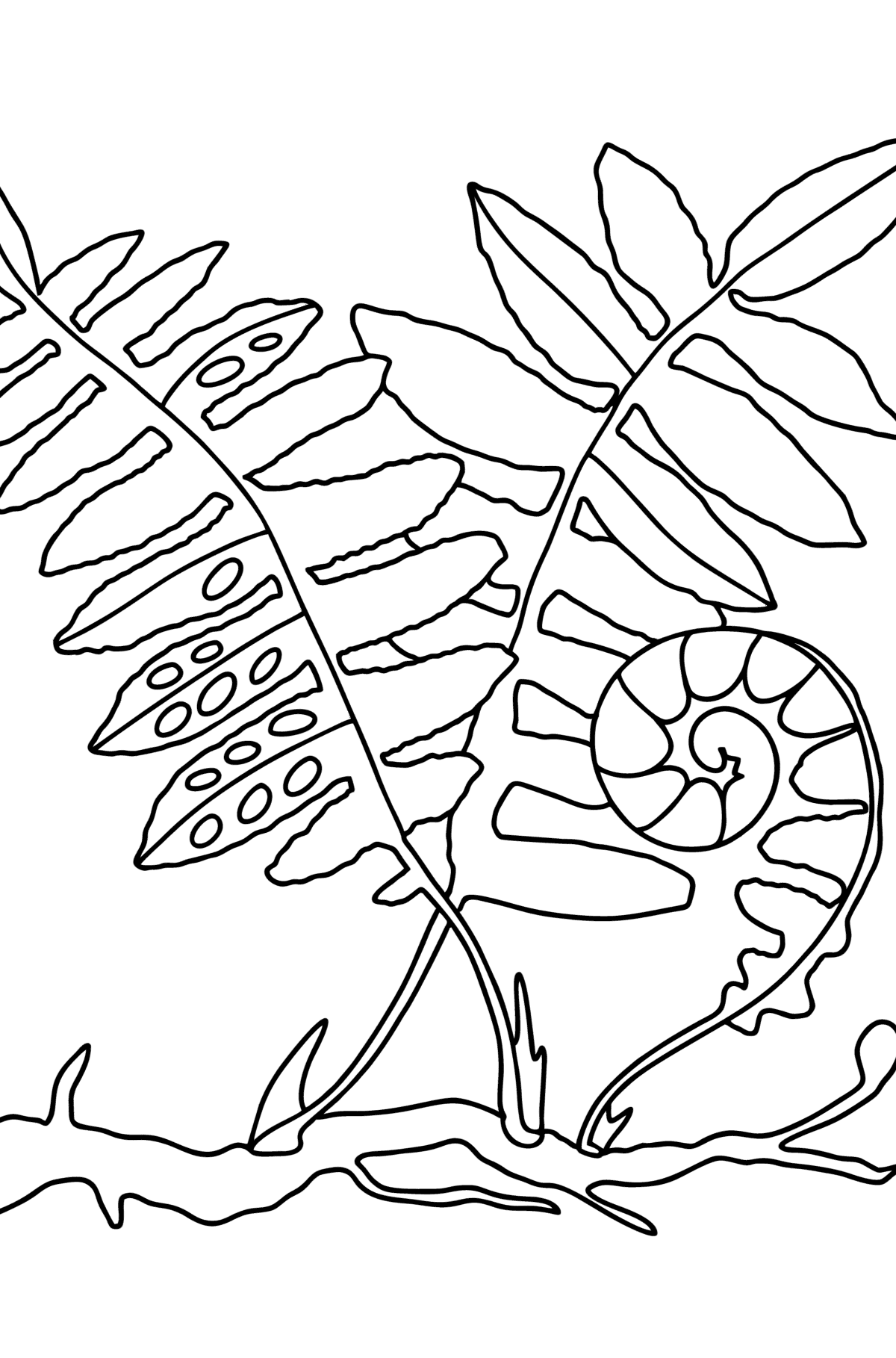 Desen de colorat frunze de ferigă - Desene de colorat pentru copii