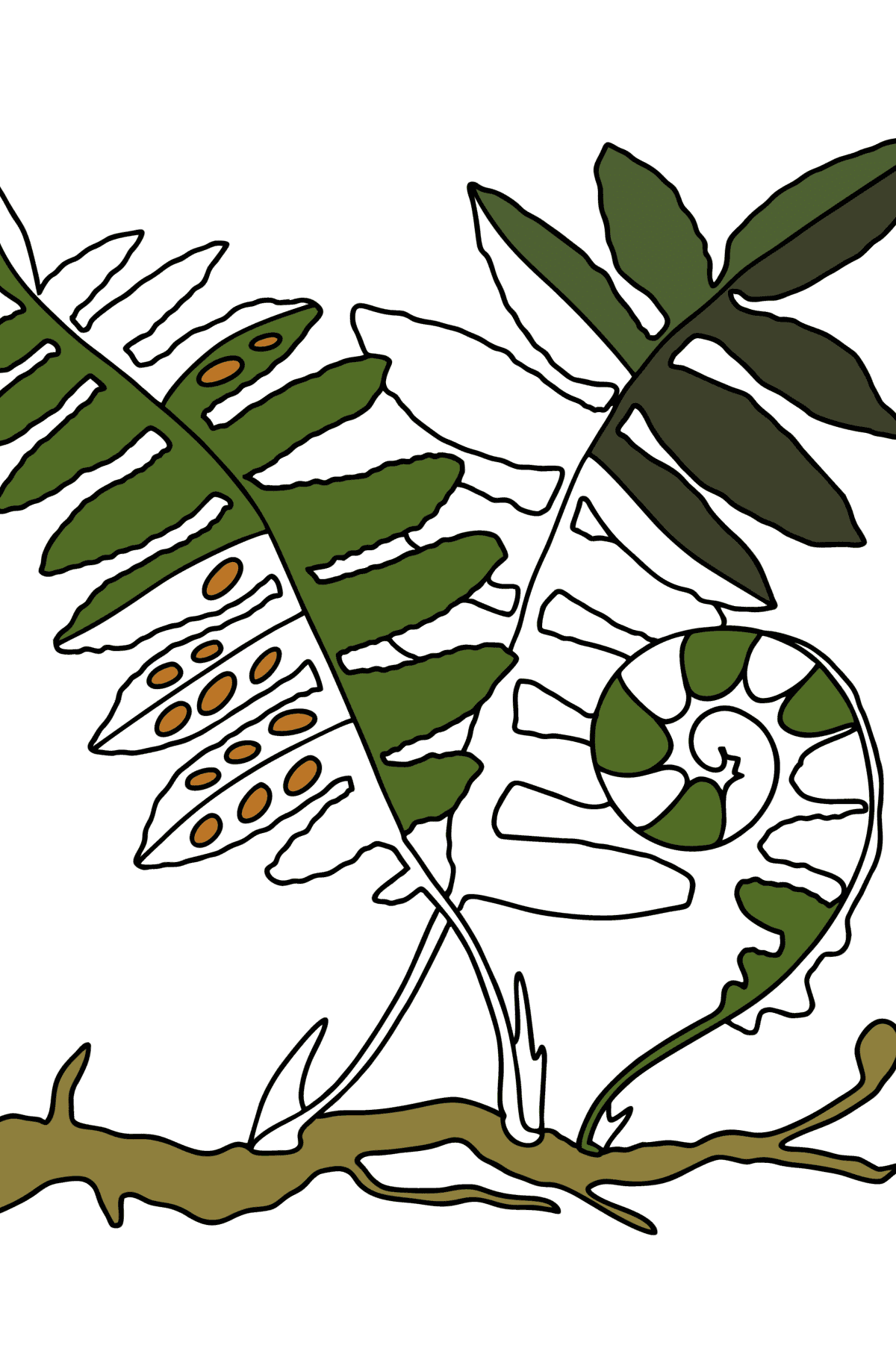 Desen de colorat frunze de ferigă - Desene de colorat pentru copii