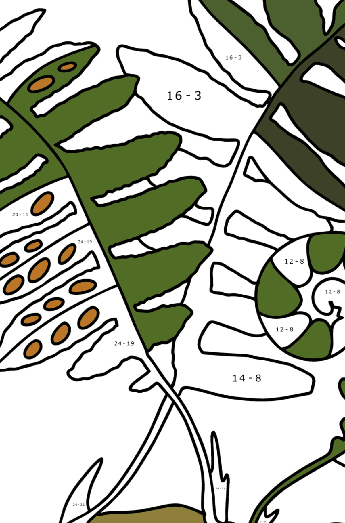 Раскраска Листья папоротника - На Вычитание для Детей