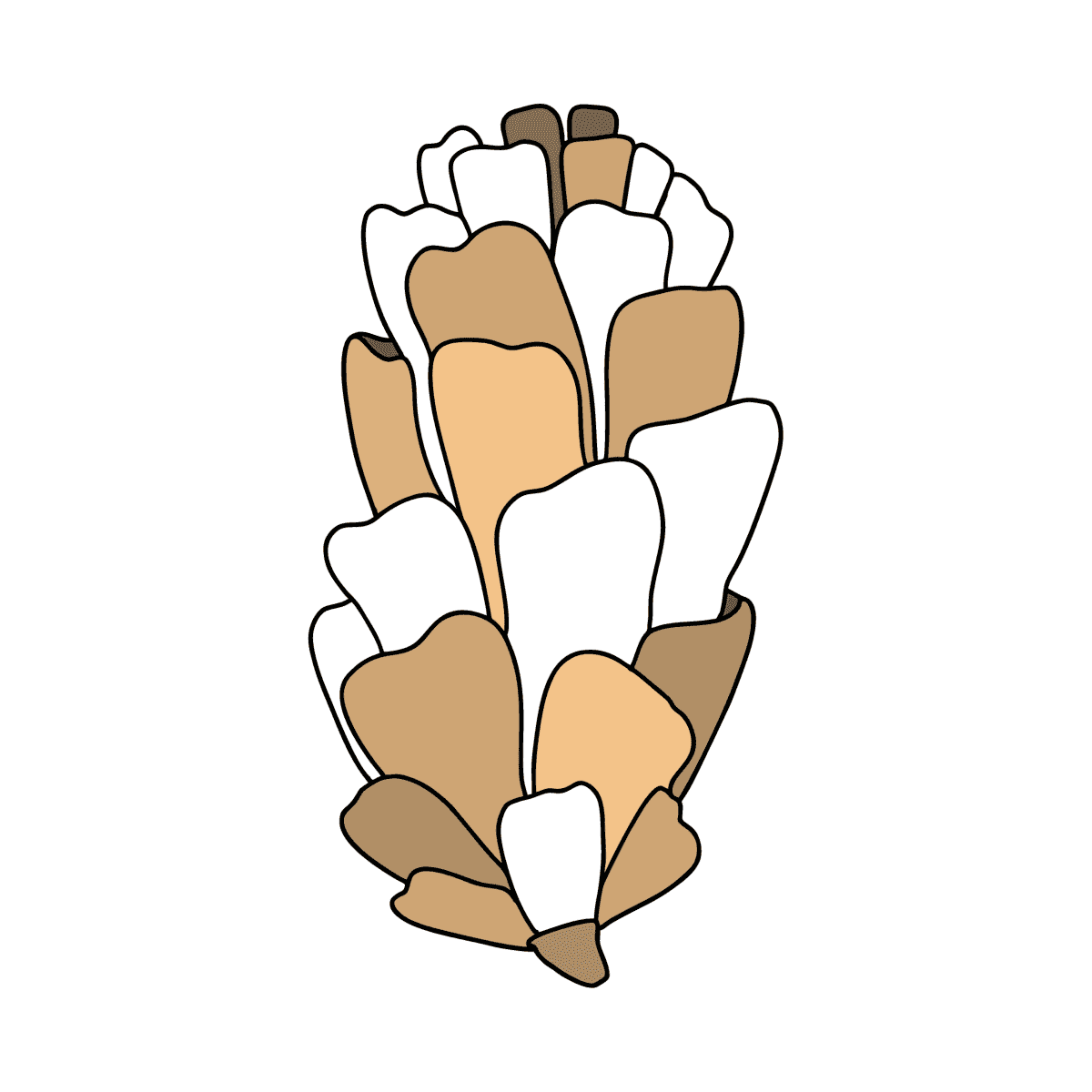 NOUVEAU