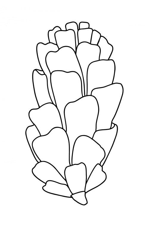 Foxtail Pinecone coloring page ♥ Online and Print for Free!