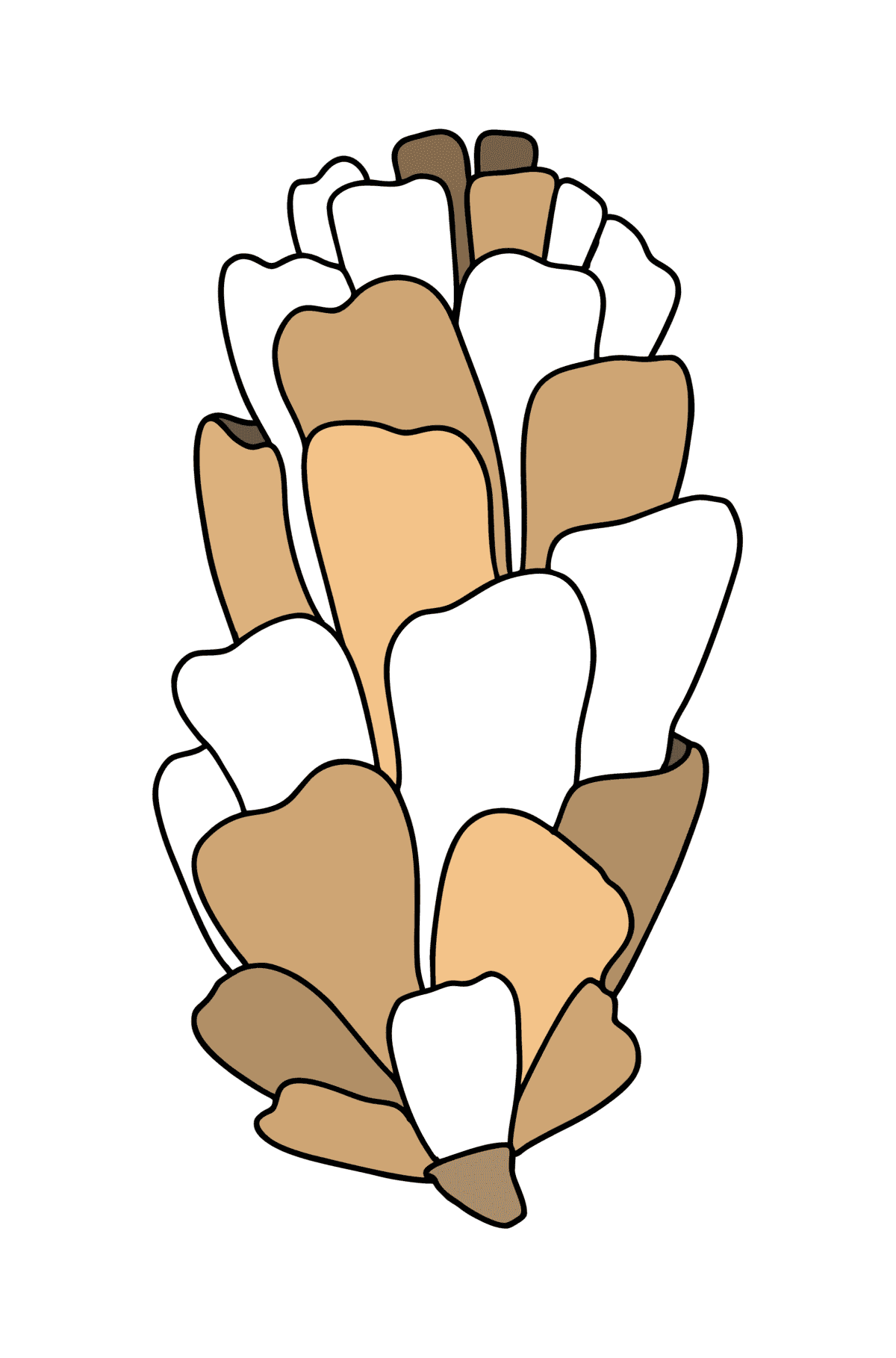 Coloriage - Pomme de pin sétaire - Coloriages pour les Enfants