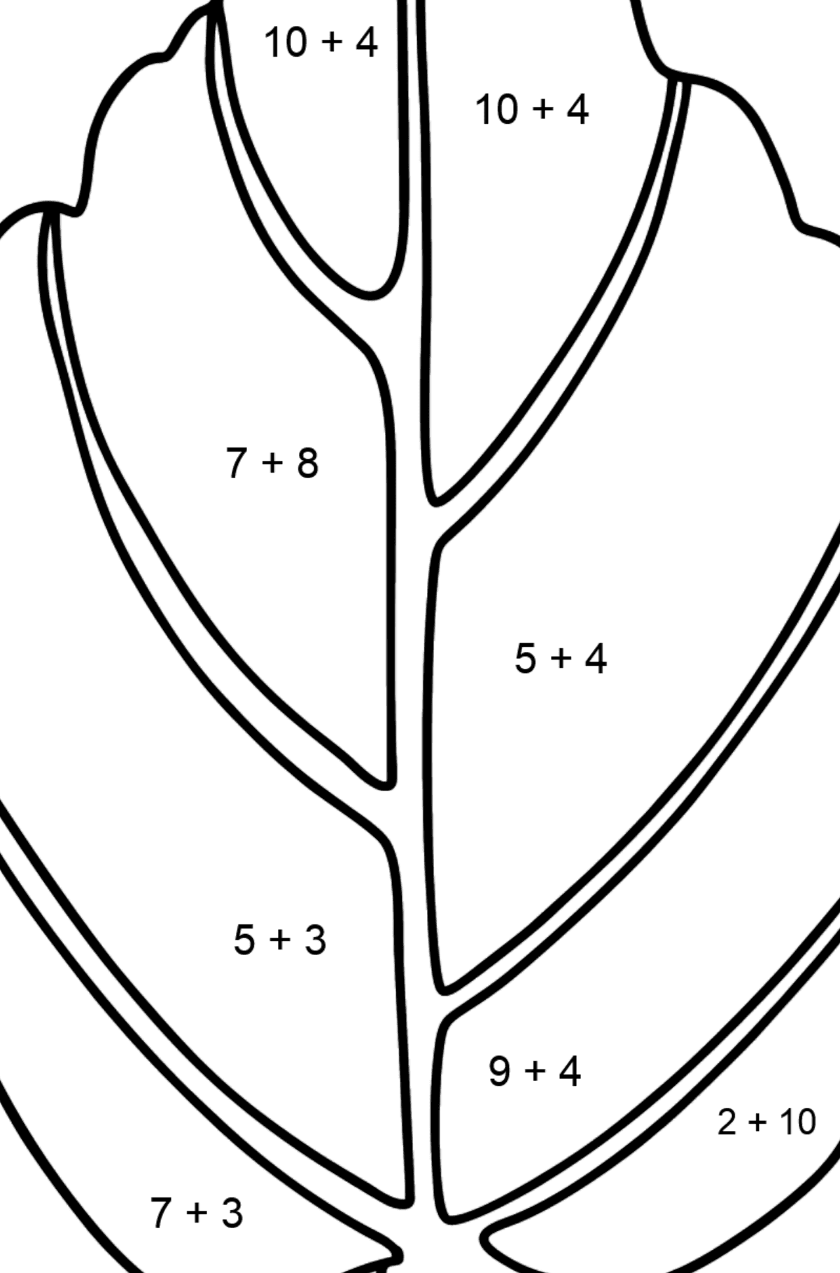 Hamamelis Leaf coloring page - Math Coloring - Addition for Kids