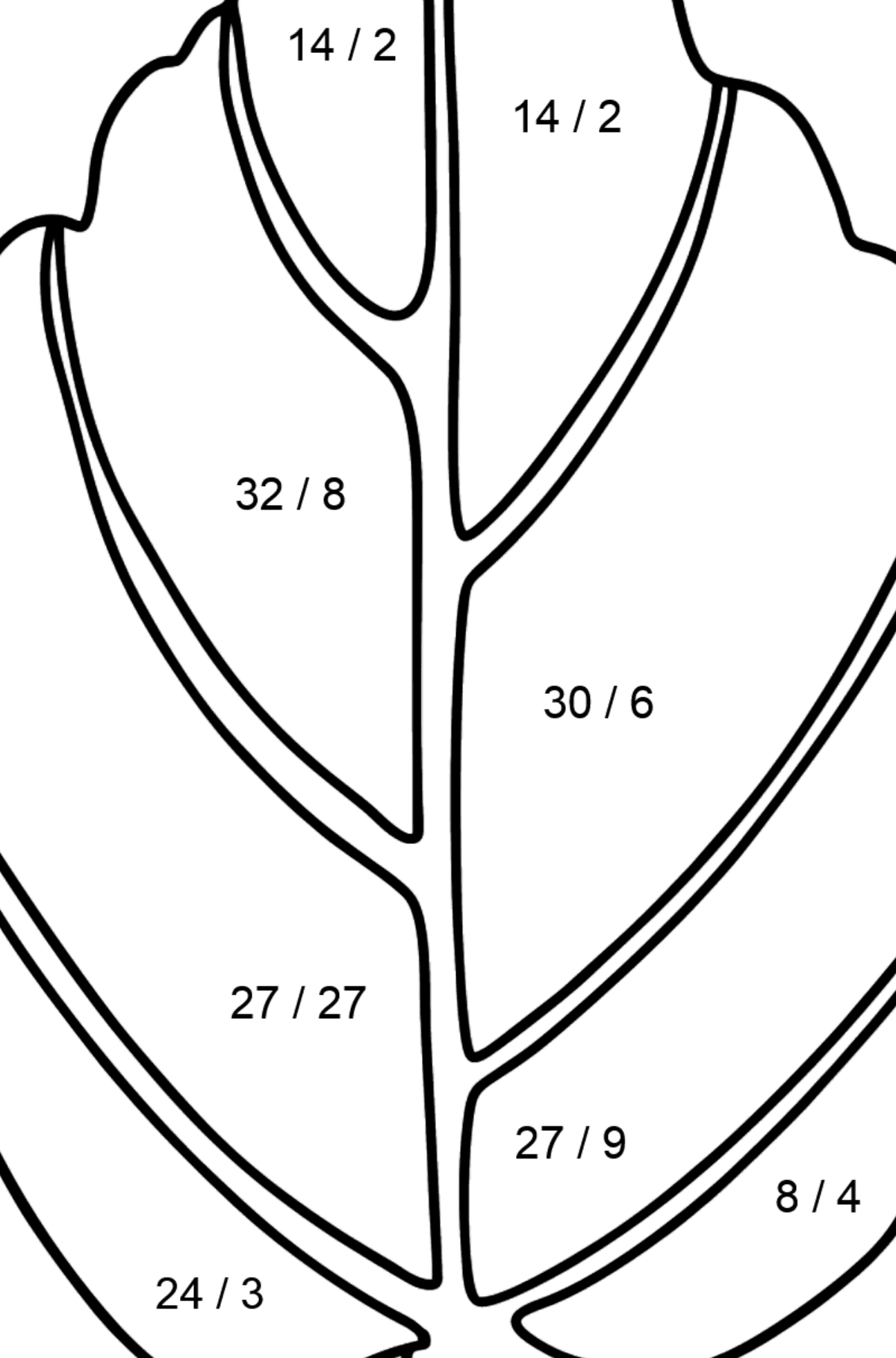 Hamamelis Leaf coloring page - Math Coloring - Division for Kids