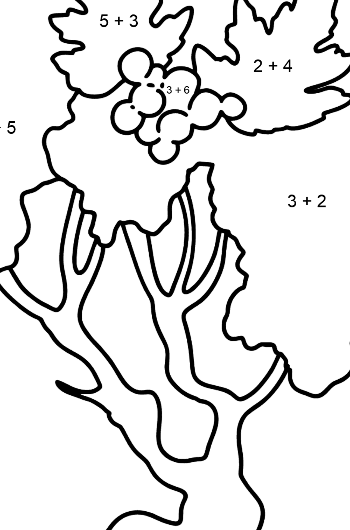 Hawthorn coloring page - Math Coloring - Addition for Kids