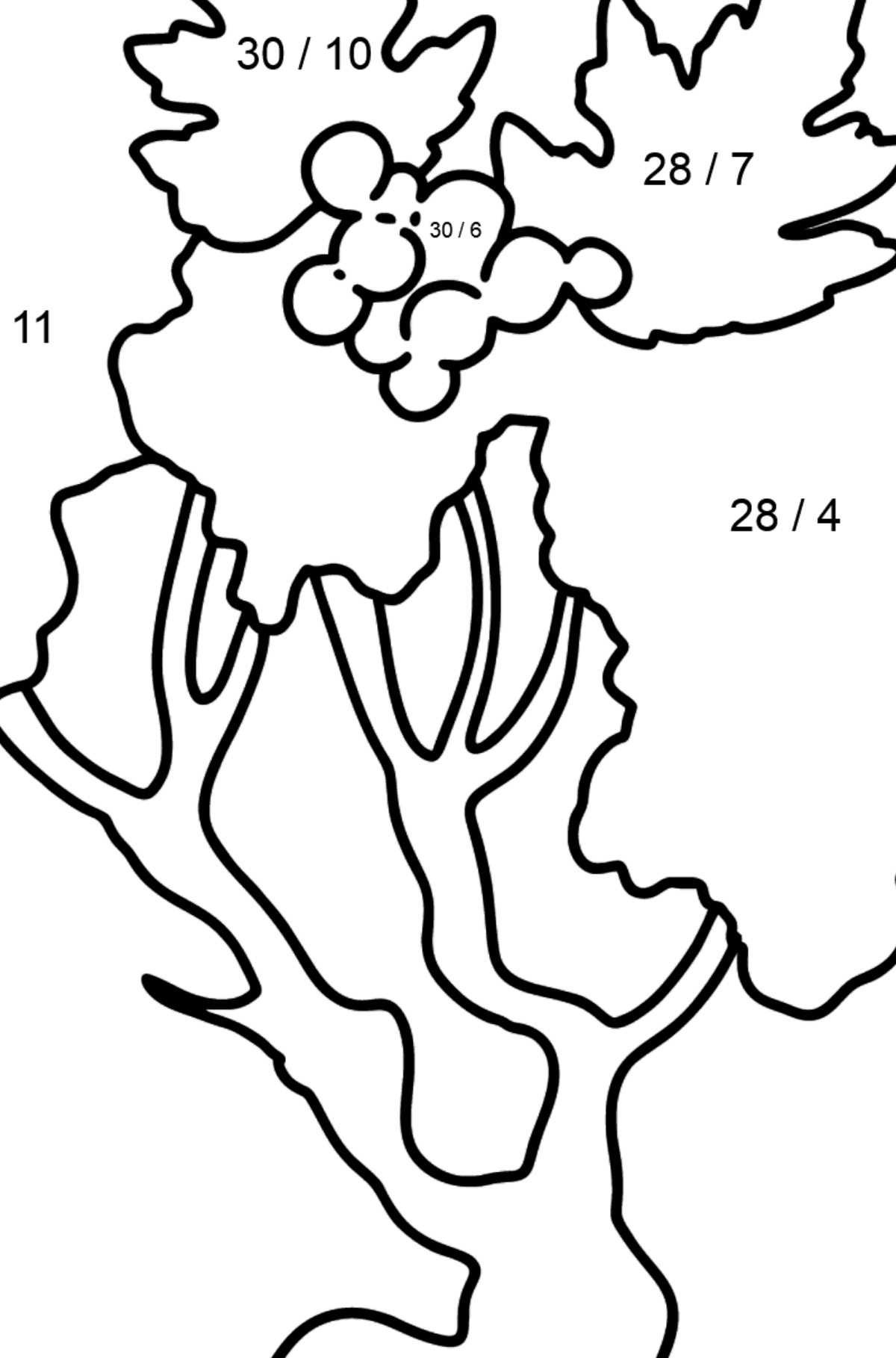 Hawthorn coloring page - Math Coloring - Division for Kids