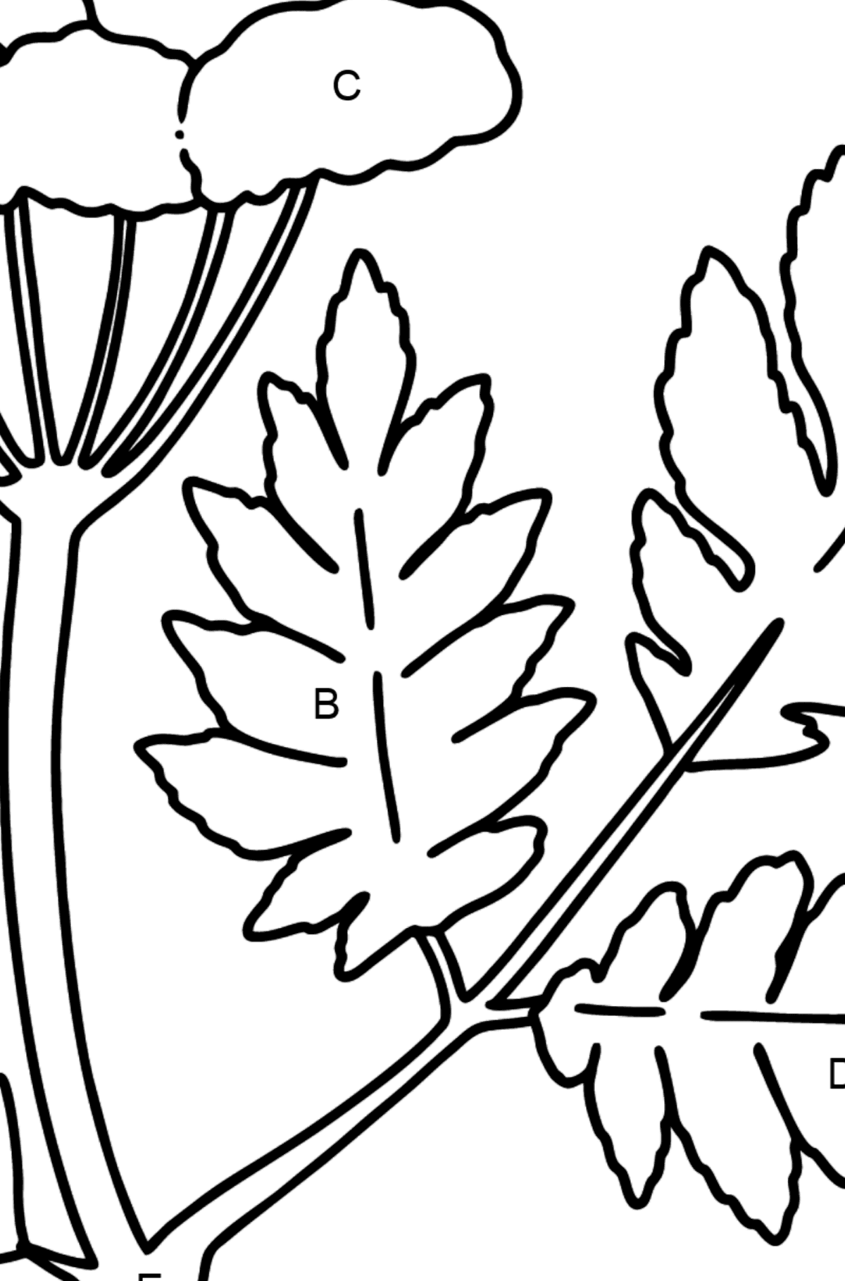 Hemlock coloring page - Coloring by Letters for Kids