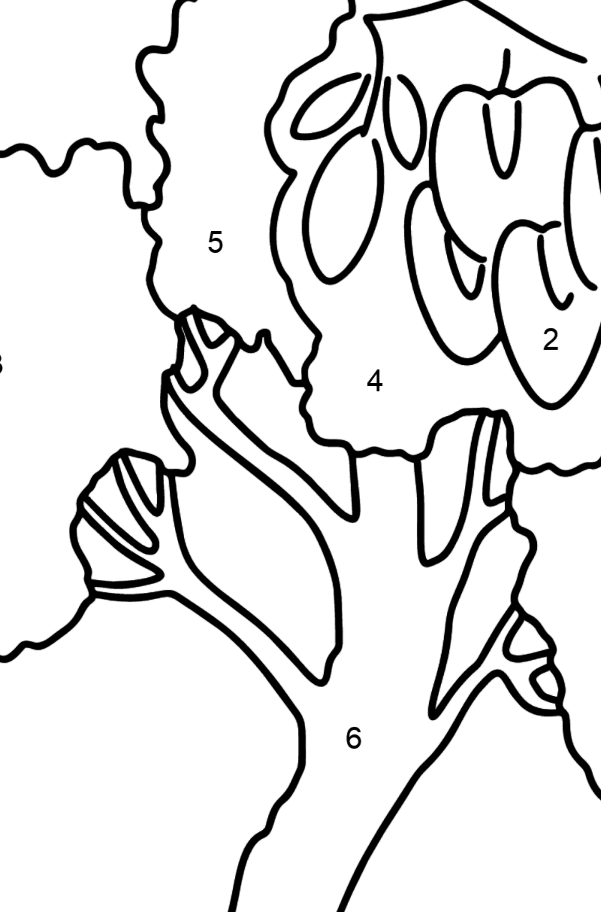 Dibujo Acacia (Robinia Pseudoacacia) para colorear - Colorear por Números para Niños