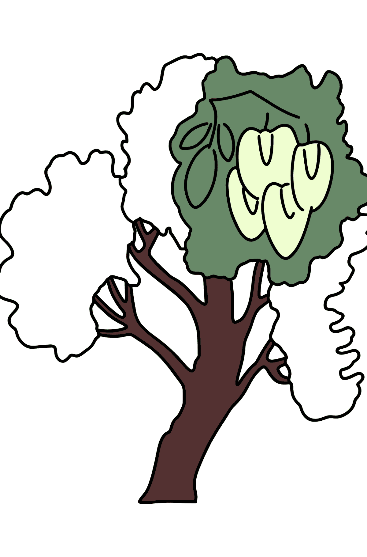 Розмальовка Дерево сарани (Robinia Pseudoacacia) - Розмальовки для дітей