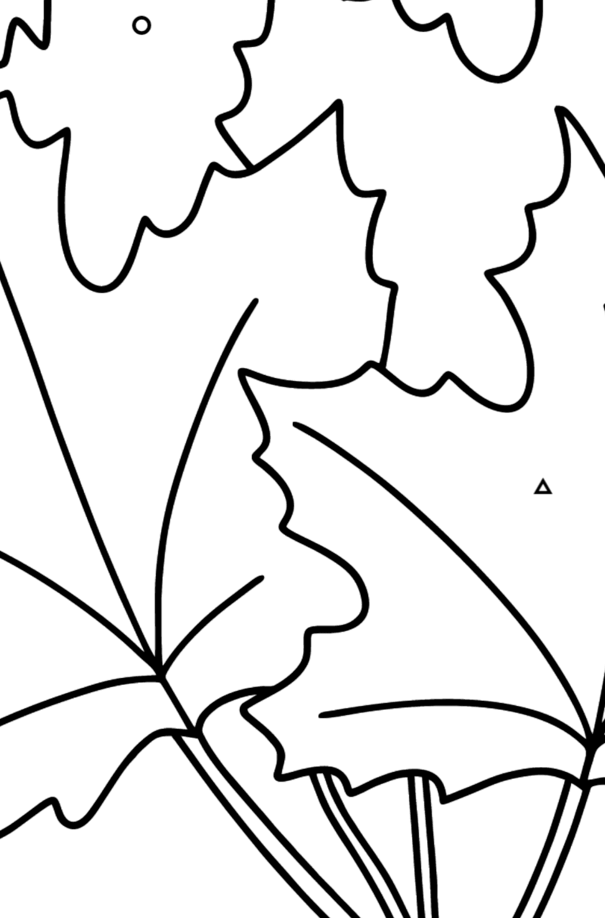 Dibujo de Ramo de Arce para colorear - Colorear por Formas Geométricas para Niños