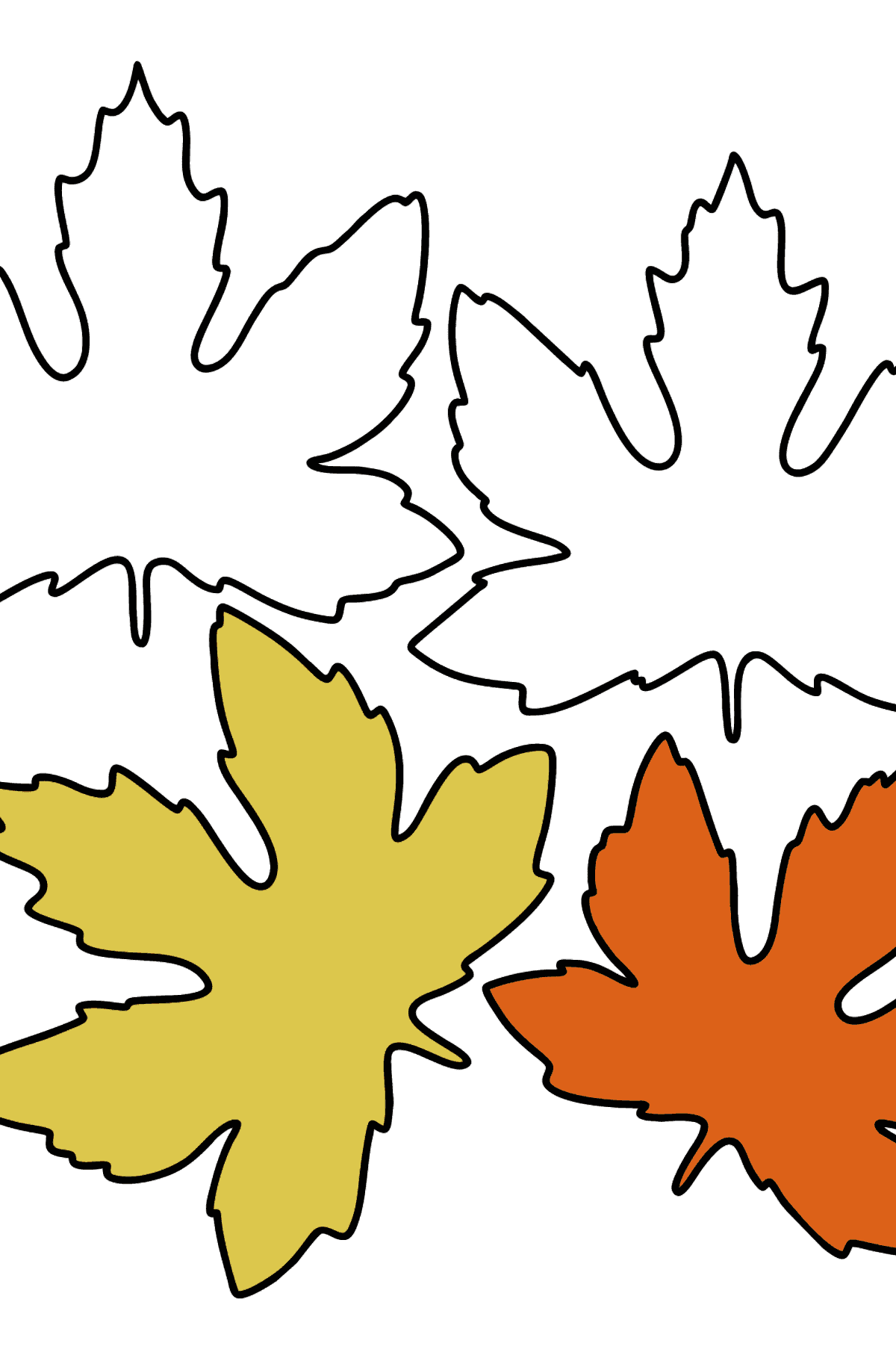 Desenho para colorir de Maple Leaves - Imagens para Colorir para Crianças