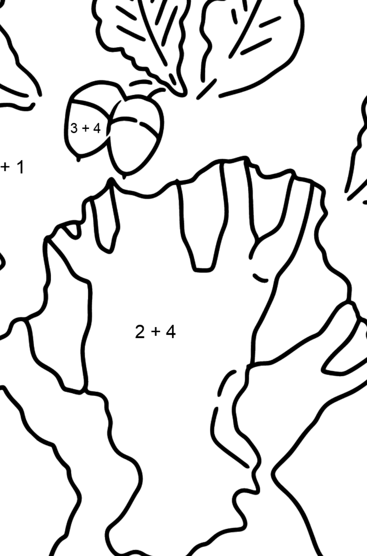 Oak coloring page - Math Coloring - Addition for Kids