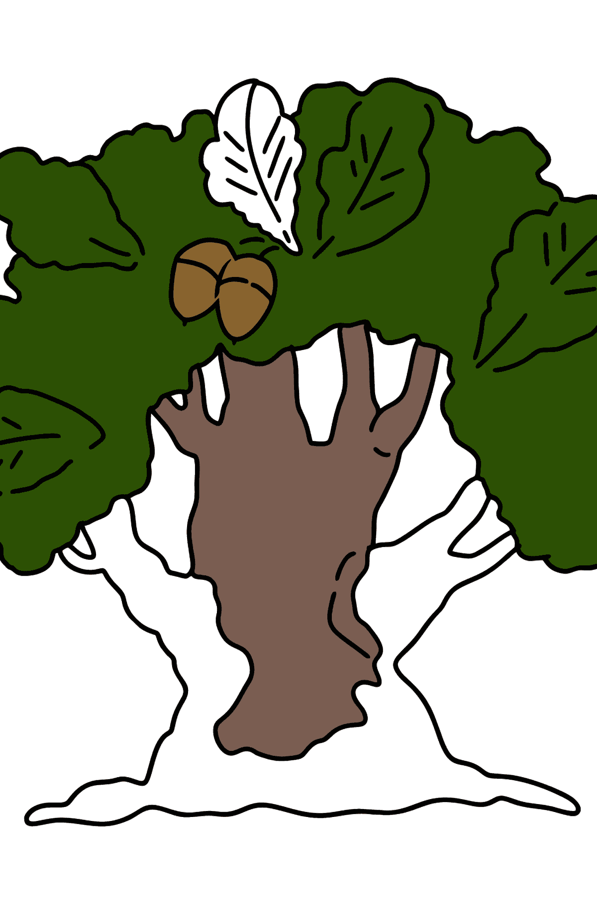 Раскраска дуб - Картинки для Детей