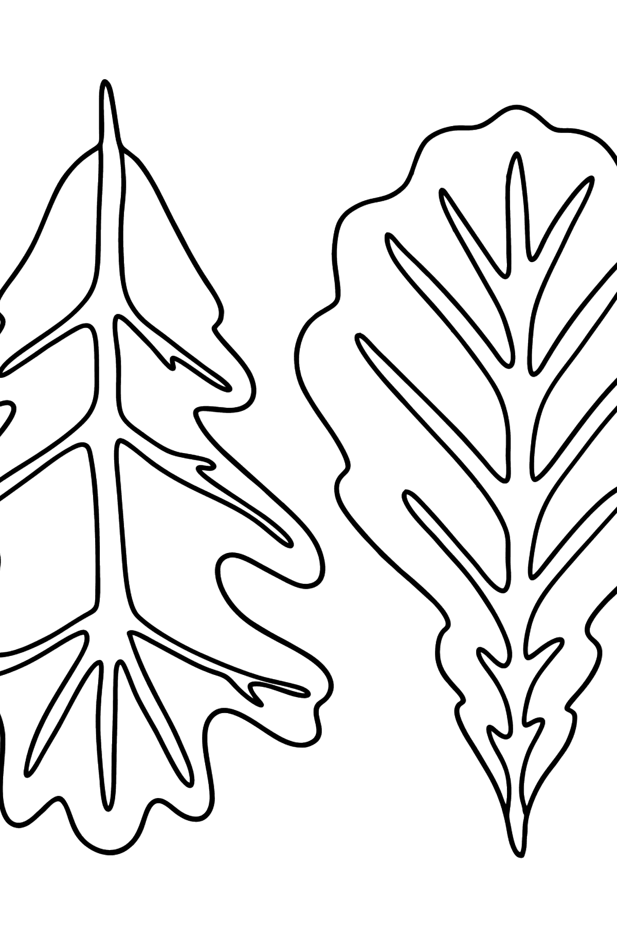 Oak Leaf coloring page - Coloring Pages for Kids