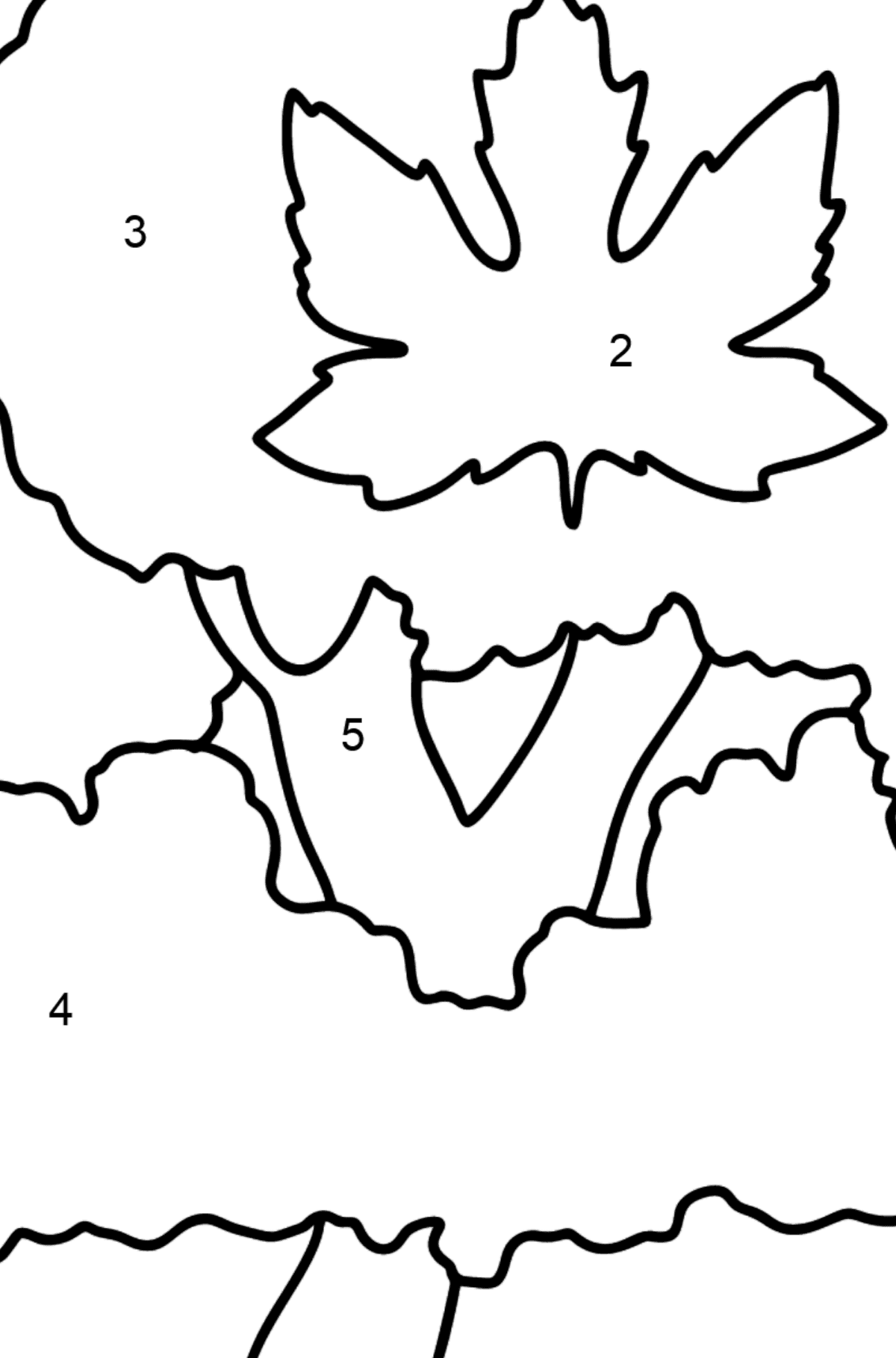 Desenho para colorir de Red Maple - Colorir por Números para Crianças