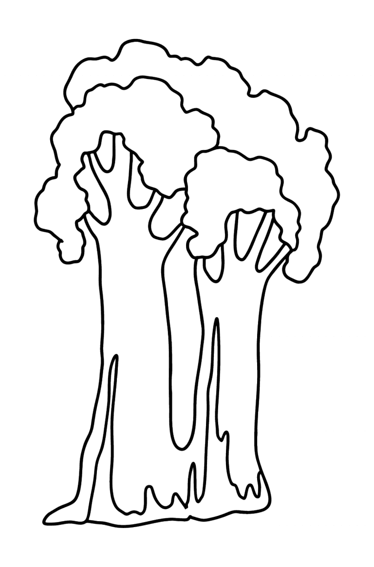 Sequoia coloring page for kids ♥ Online and Print for Free!