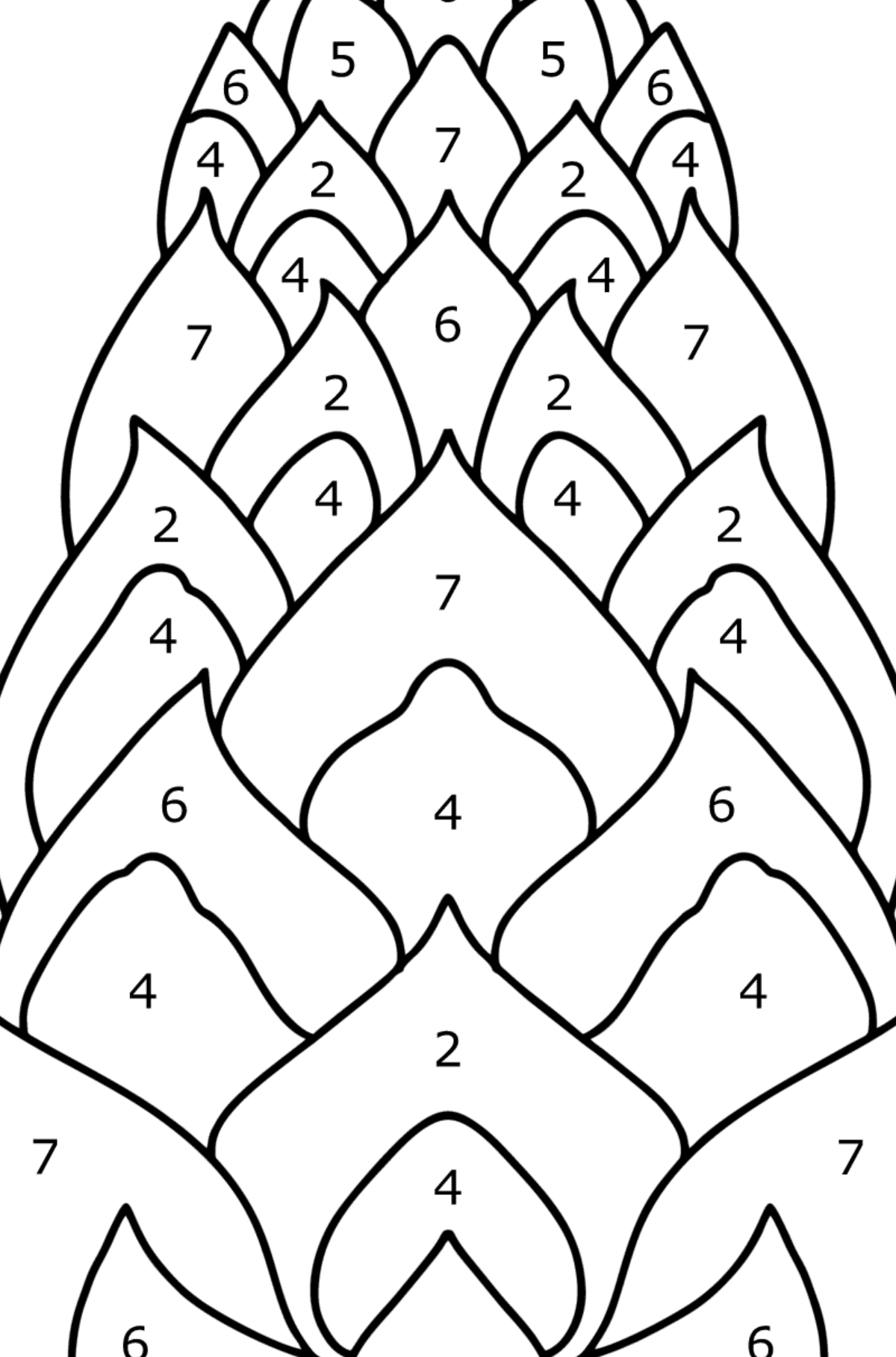 Pinecone from Lambert coloring page - Coloring by Numbers for Kids