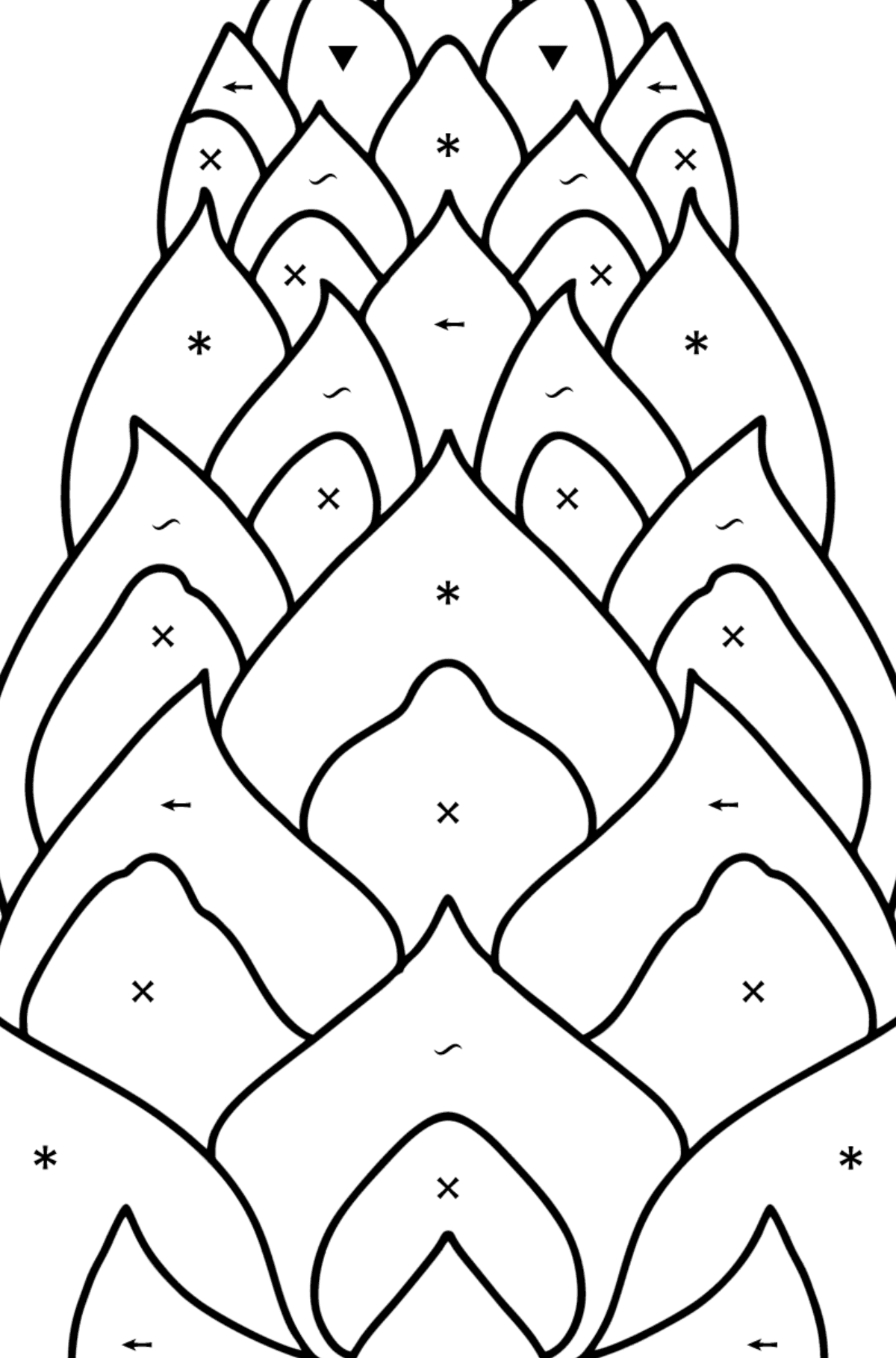Pinecone from Lambert coloring page - Coloring by Symbols for Kids