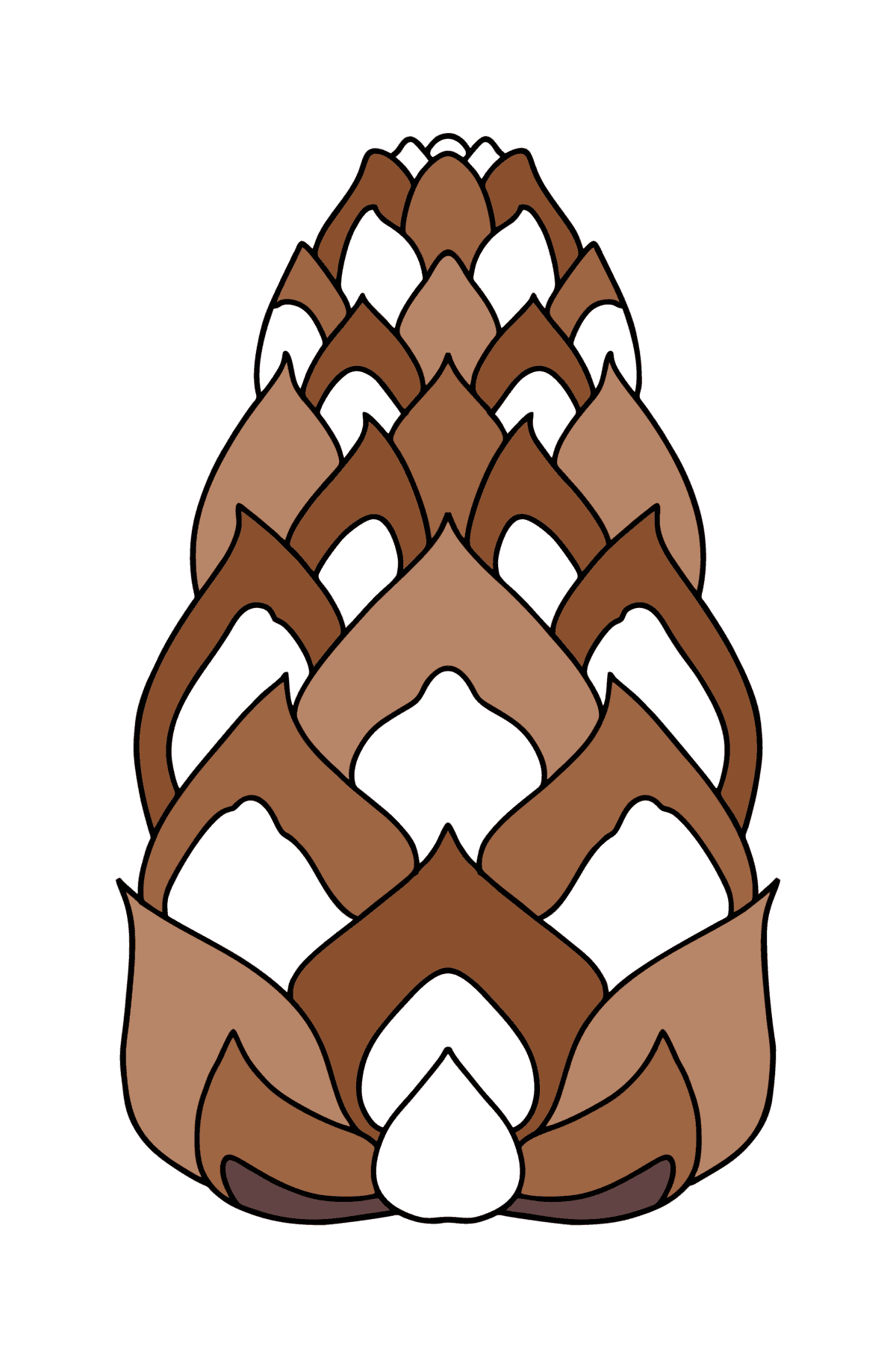 Pinecone from Lambert coloring page - Coloring Pages for Kids