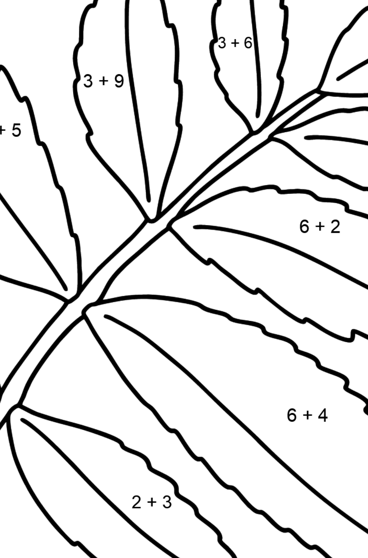 Dibujo de Hoja de árbol de Sumac para colorear - Colorear con Matemáticas - Sumas para Niños