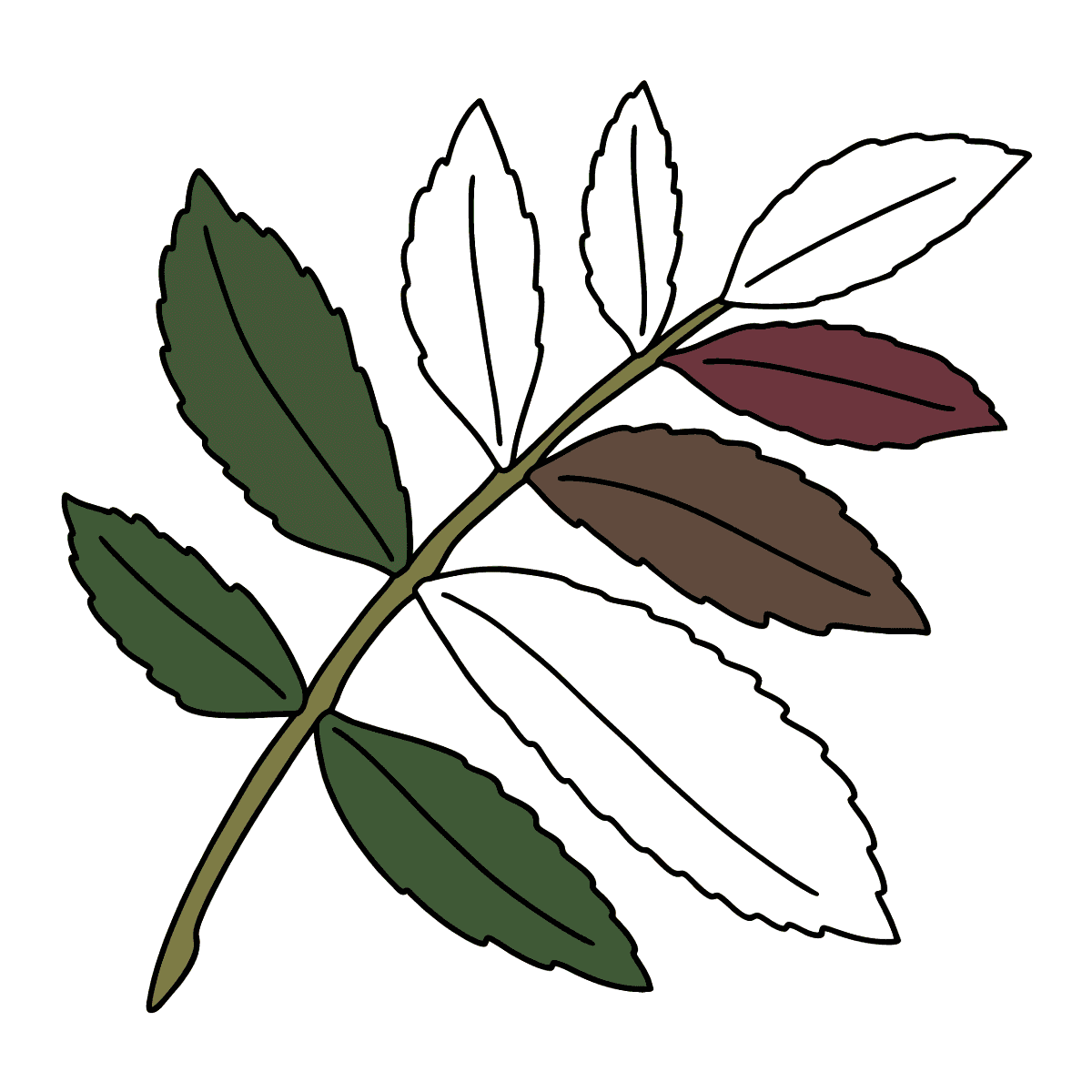 NOUVEAU