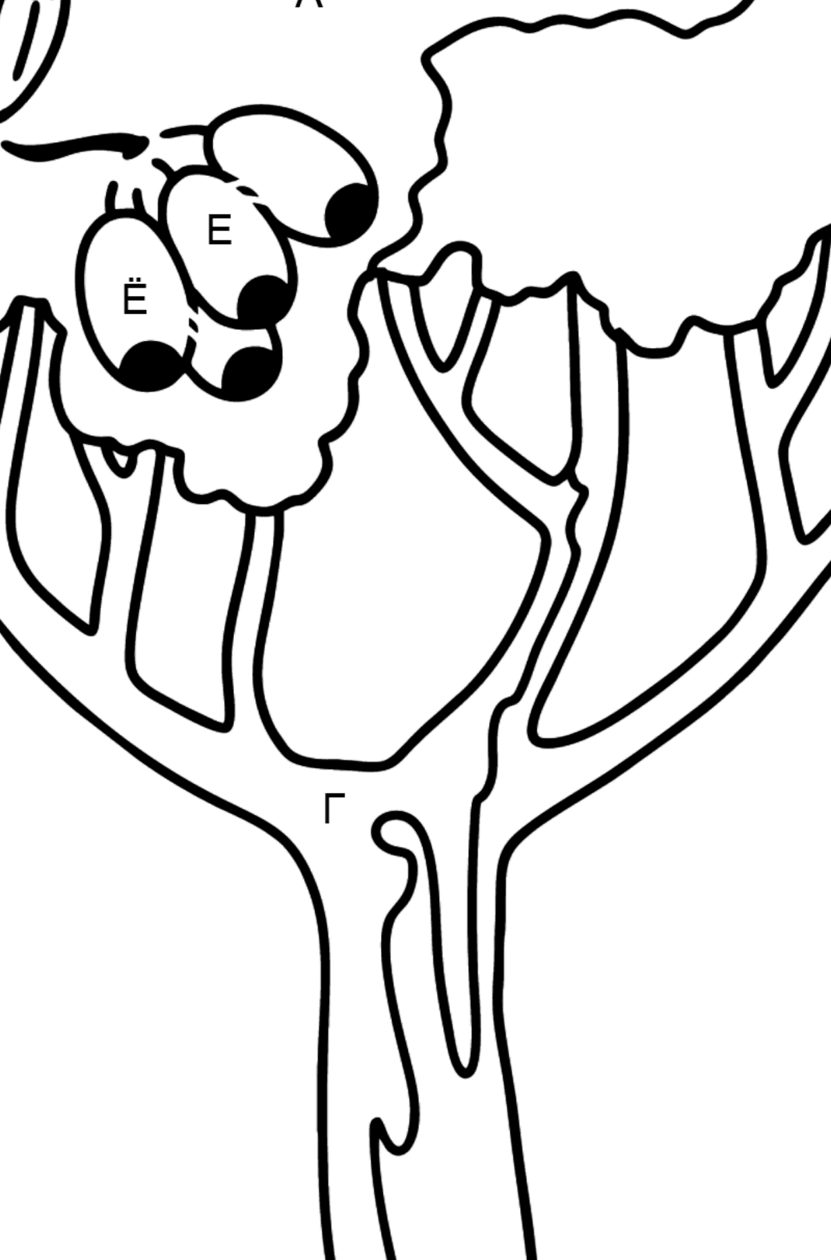 Раскраска десневое дерево - Коримбия - По Буквам для Детей