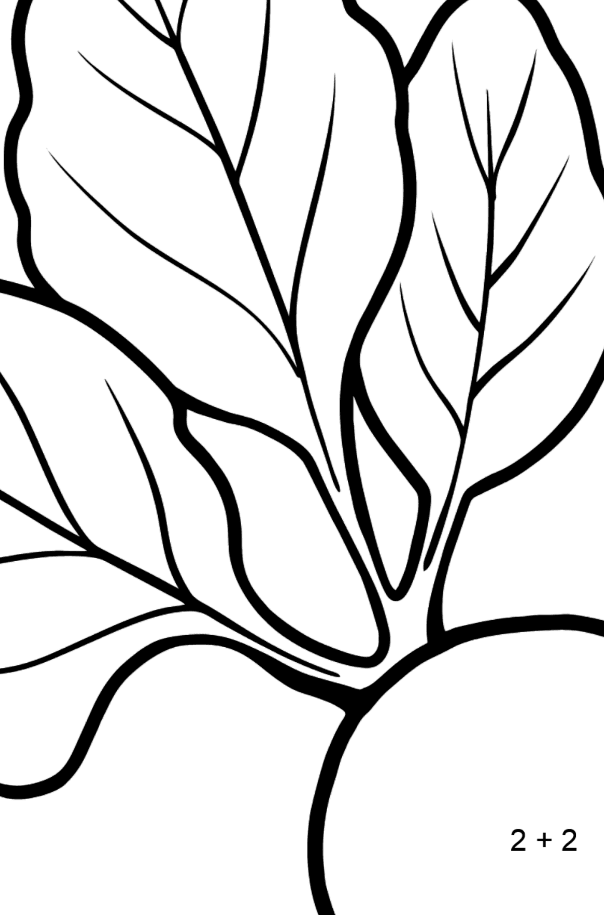 Beet coloring page - Math Coloring - Addition for Kids
