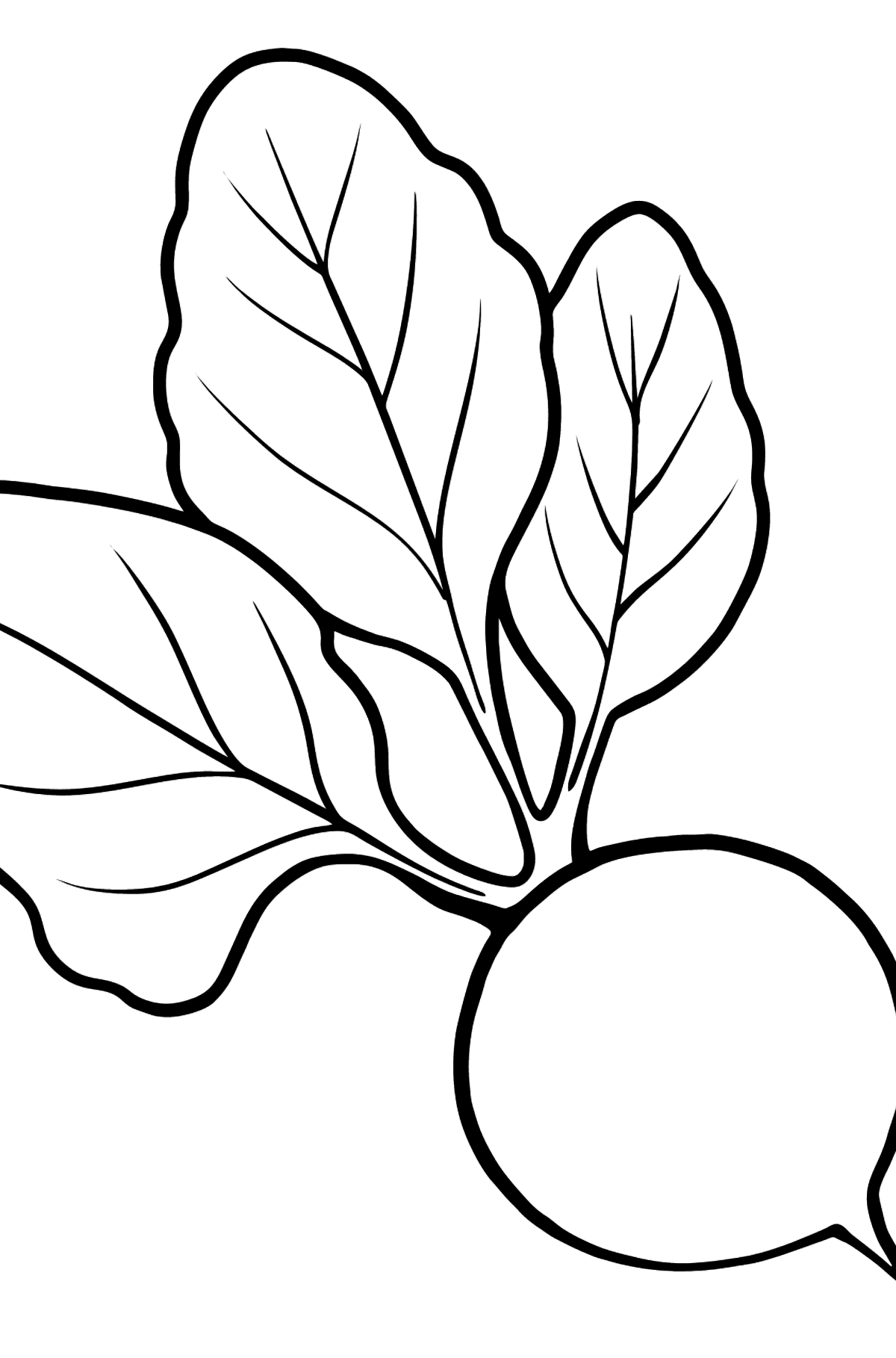 Beet coloring page - Coloring Pages for Kids